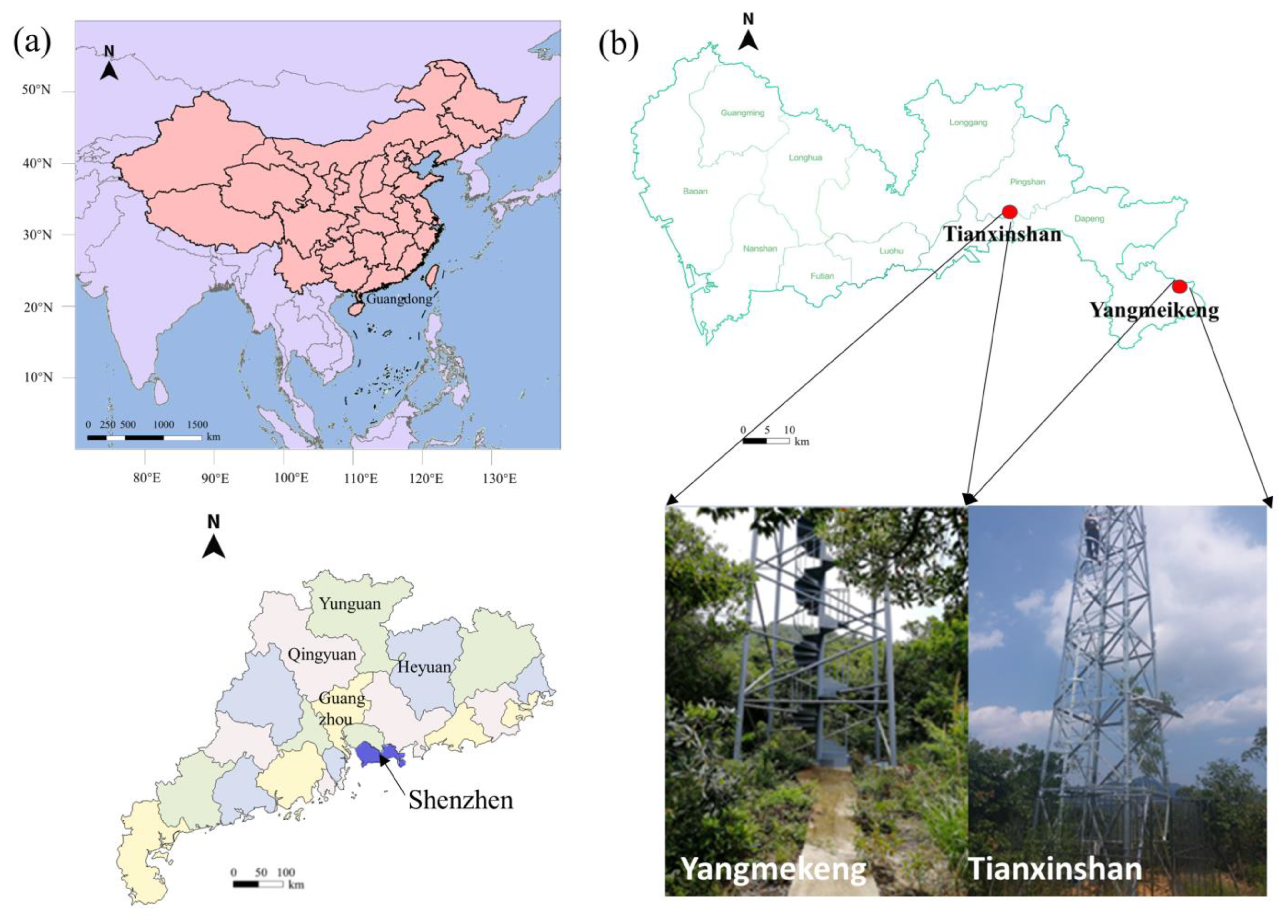 Sustainability 15 09826 g001 Sustainability 15 09826 g001