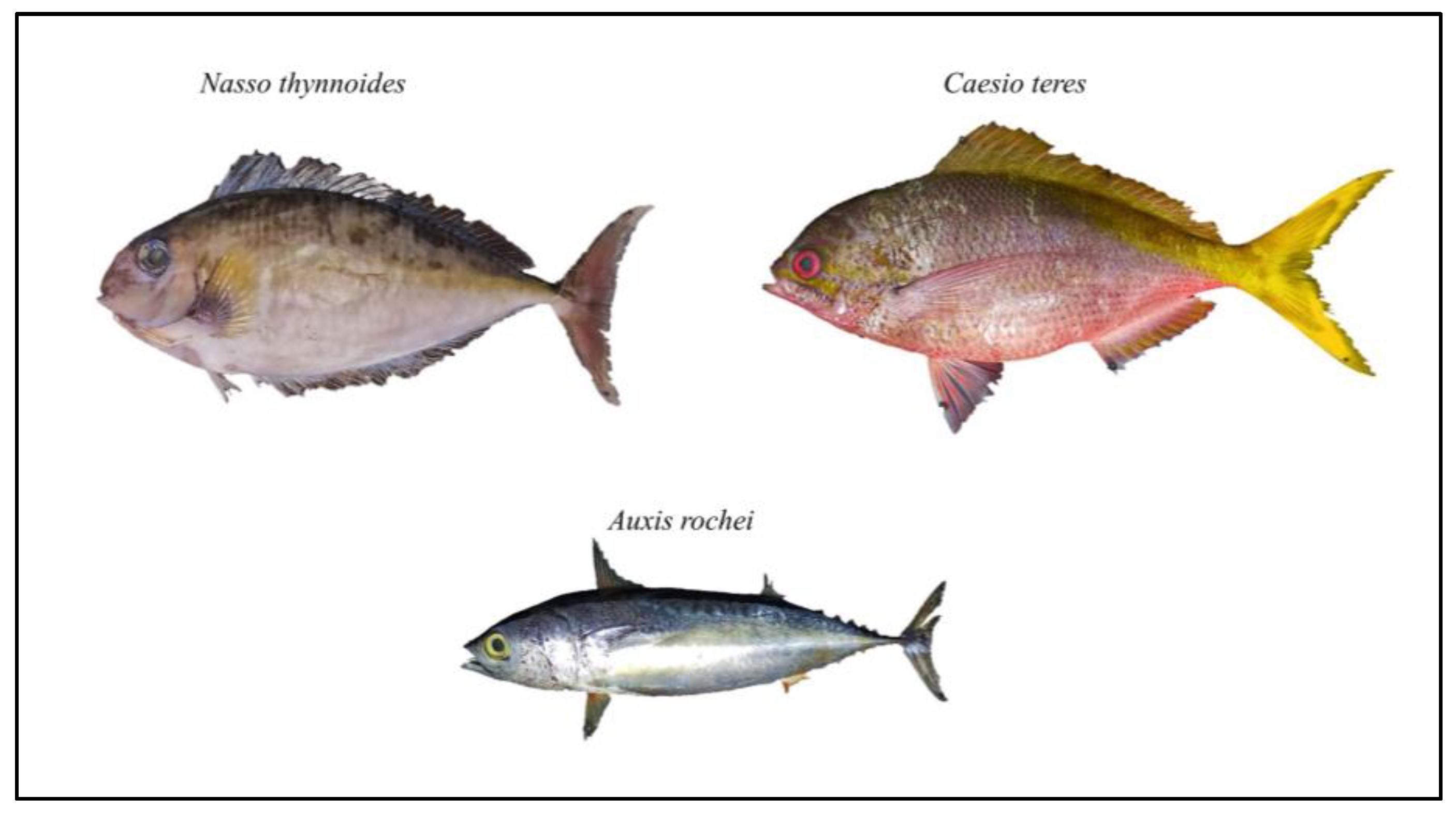 Sustainability 15 09836 g005