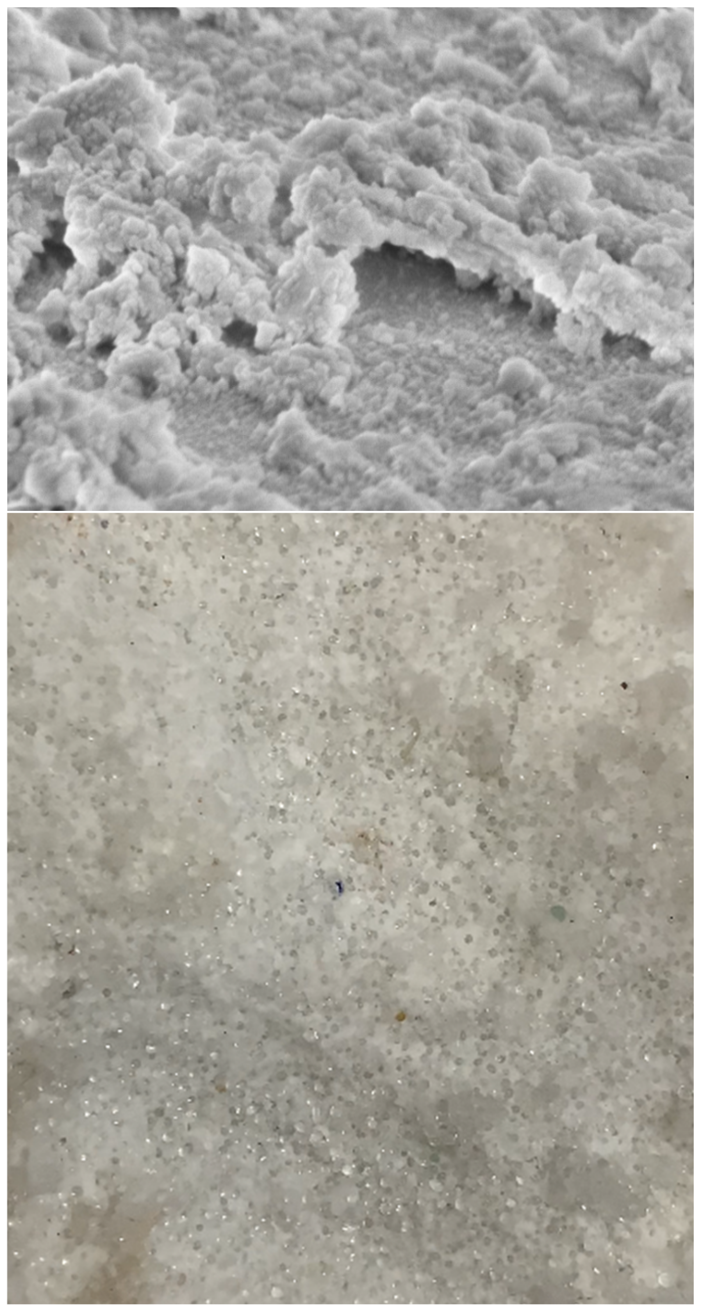 Sustainability 15 09841 g004