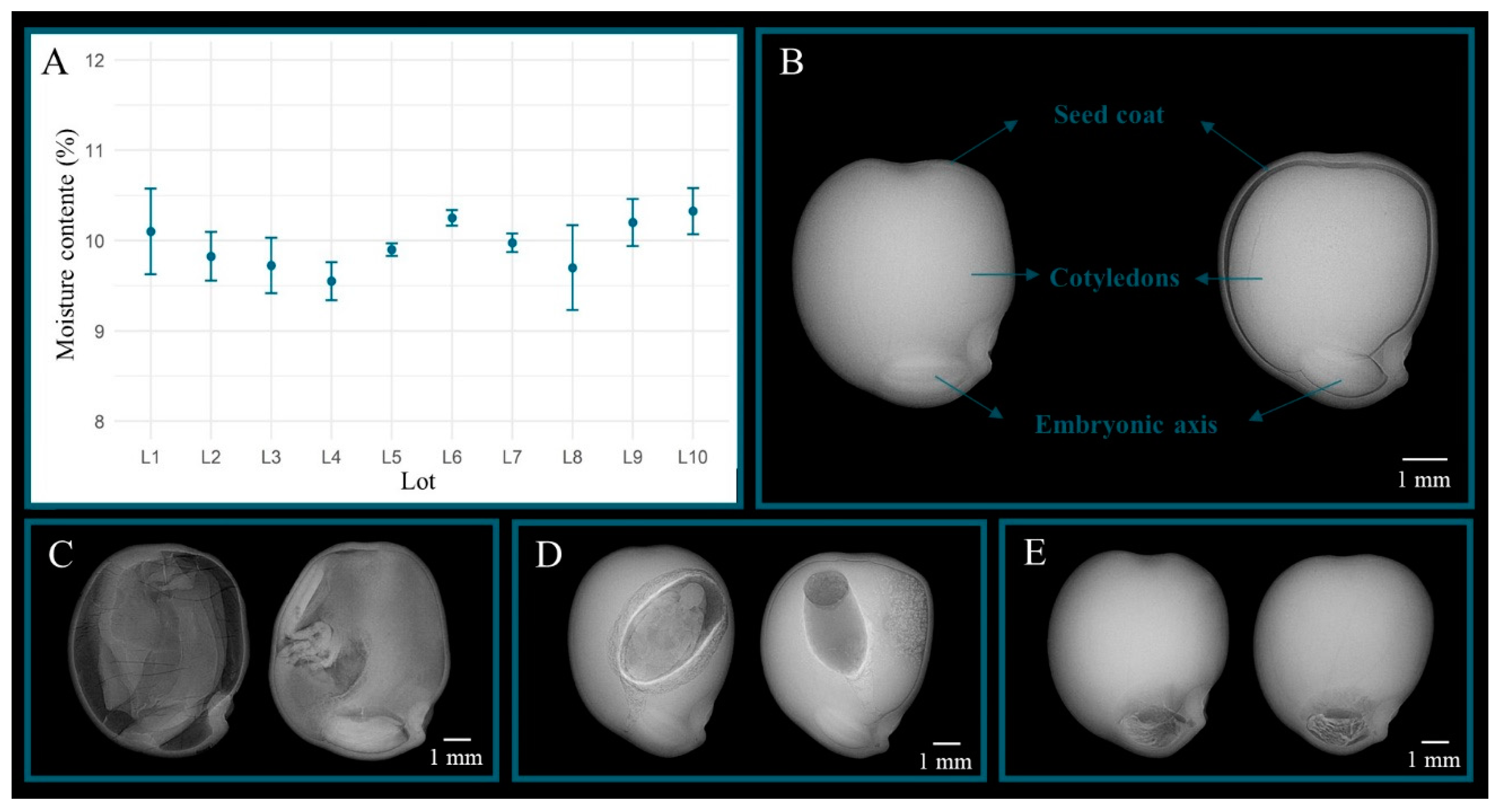 Sustainability 15 09875 g001