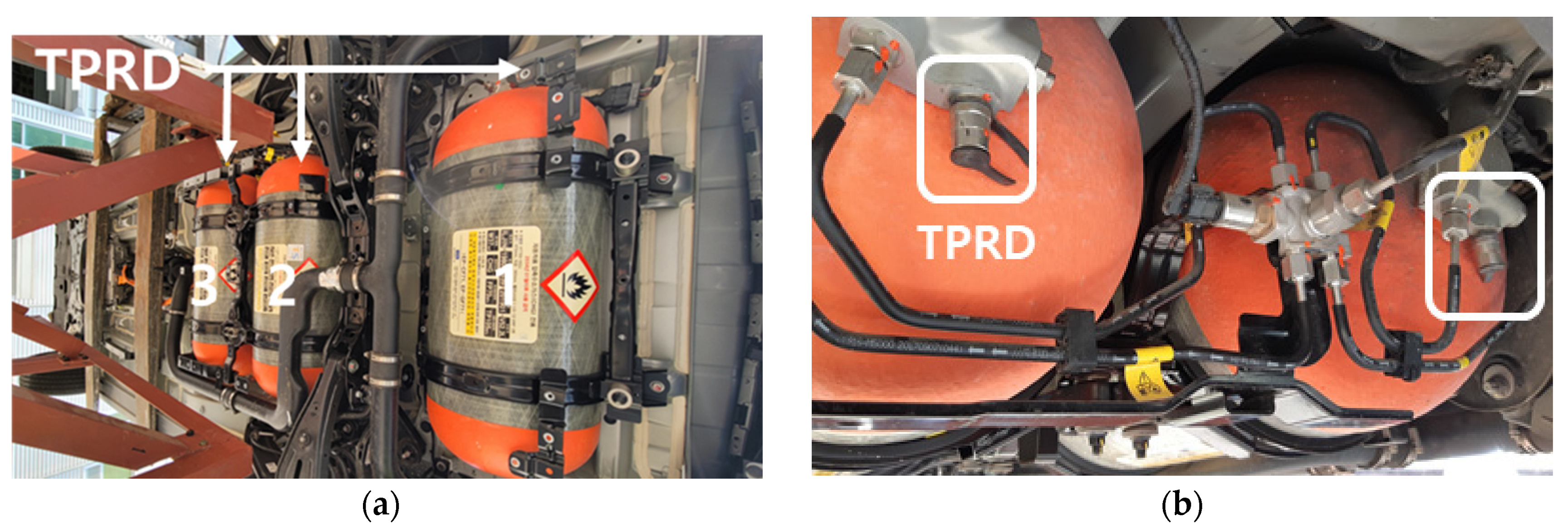 Sustainability 15 09884 g001