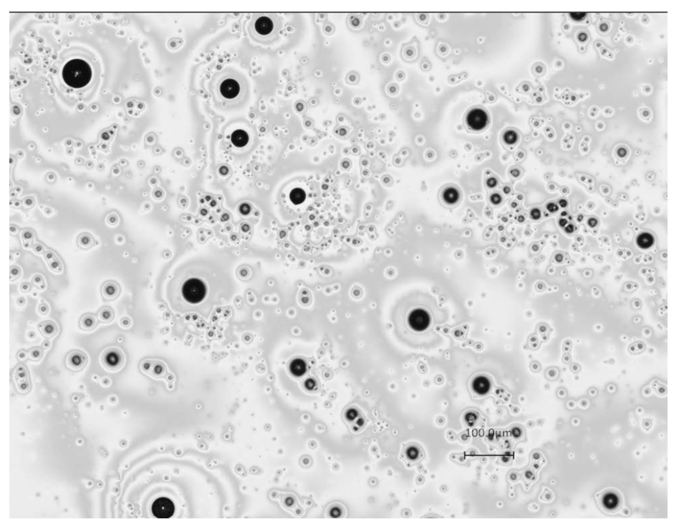 Sustainability 15 09897 g002