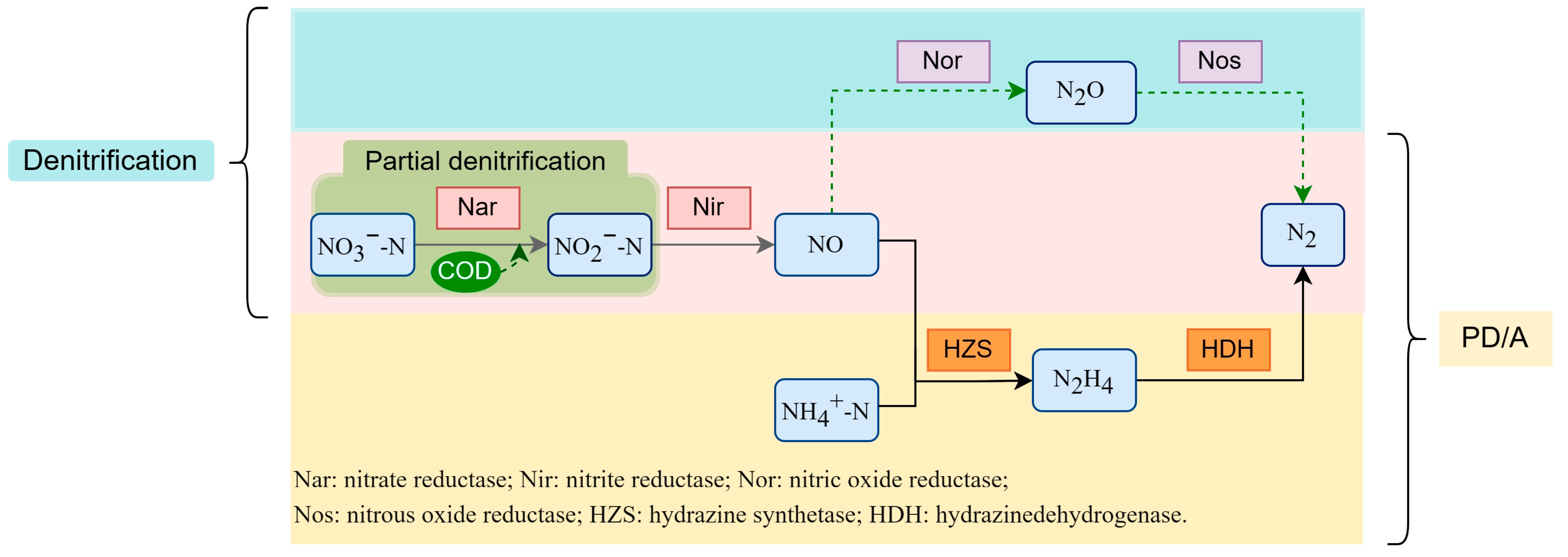 Sustainability 15 09907 g001 550