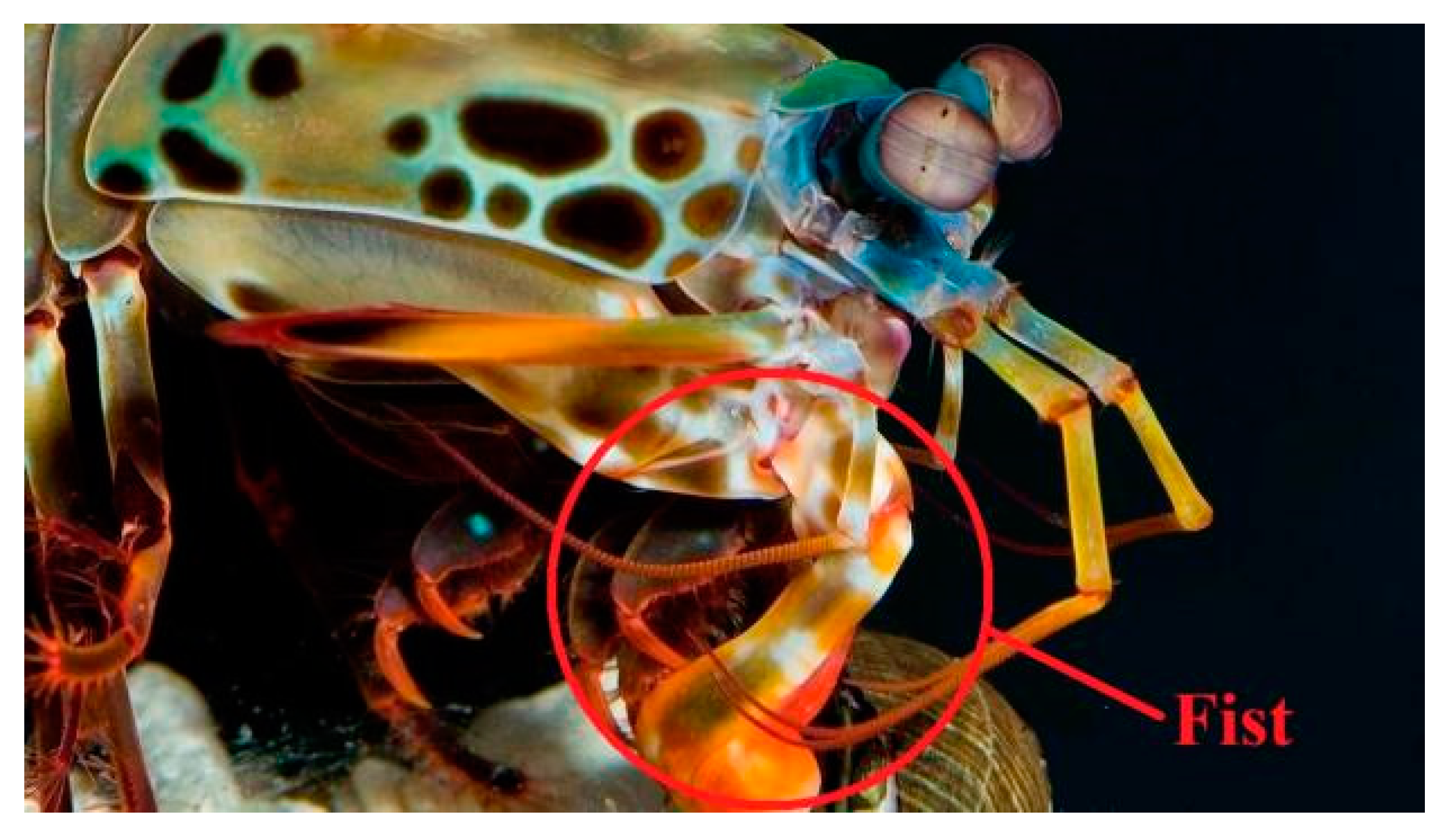 Sustainability 15 09911 g001 Sustainability 15 09911 g001