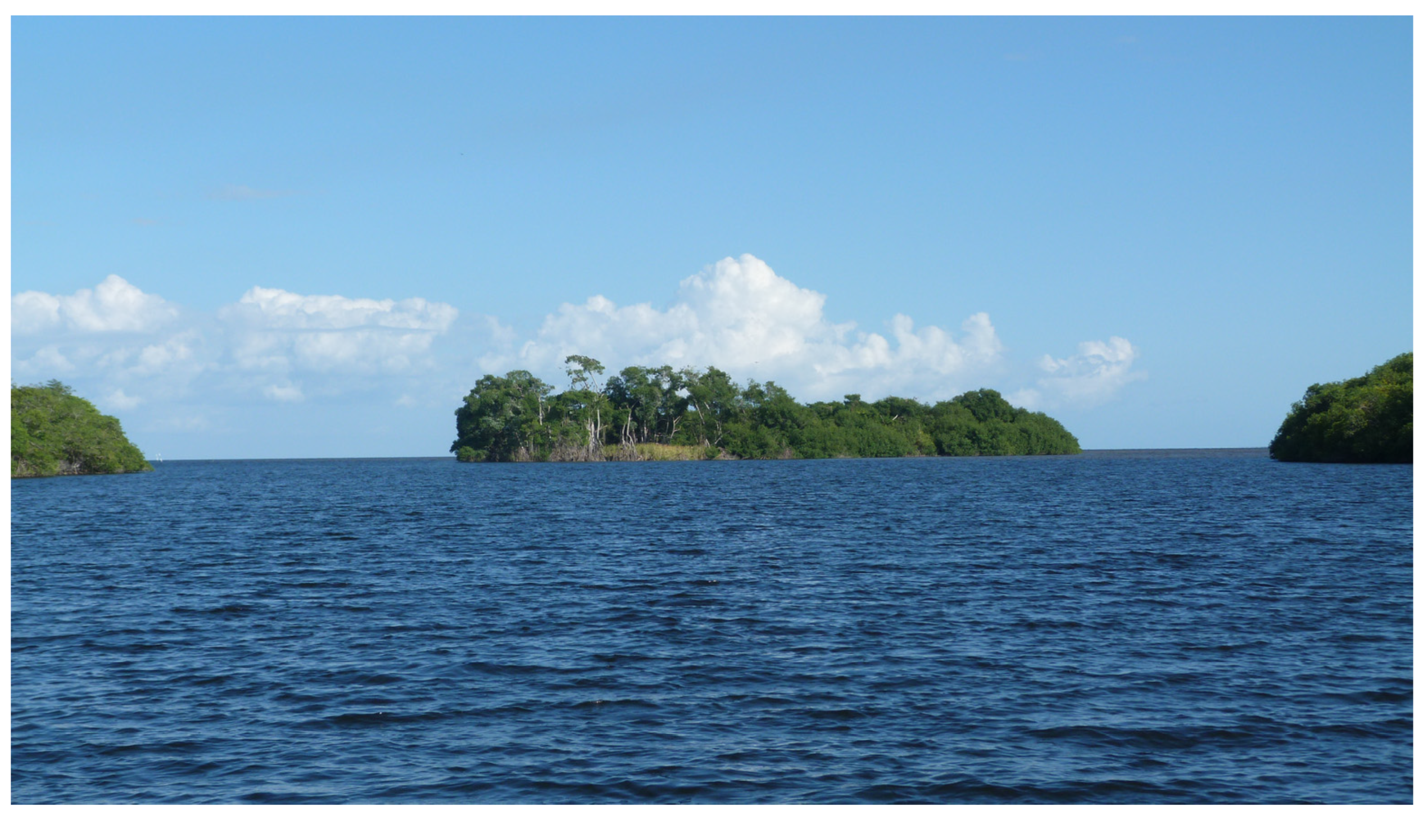 Sustainability 15 09922 g003 Sustainability 15 09922 g003