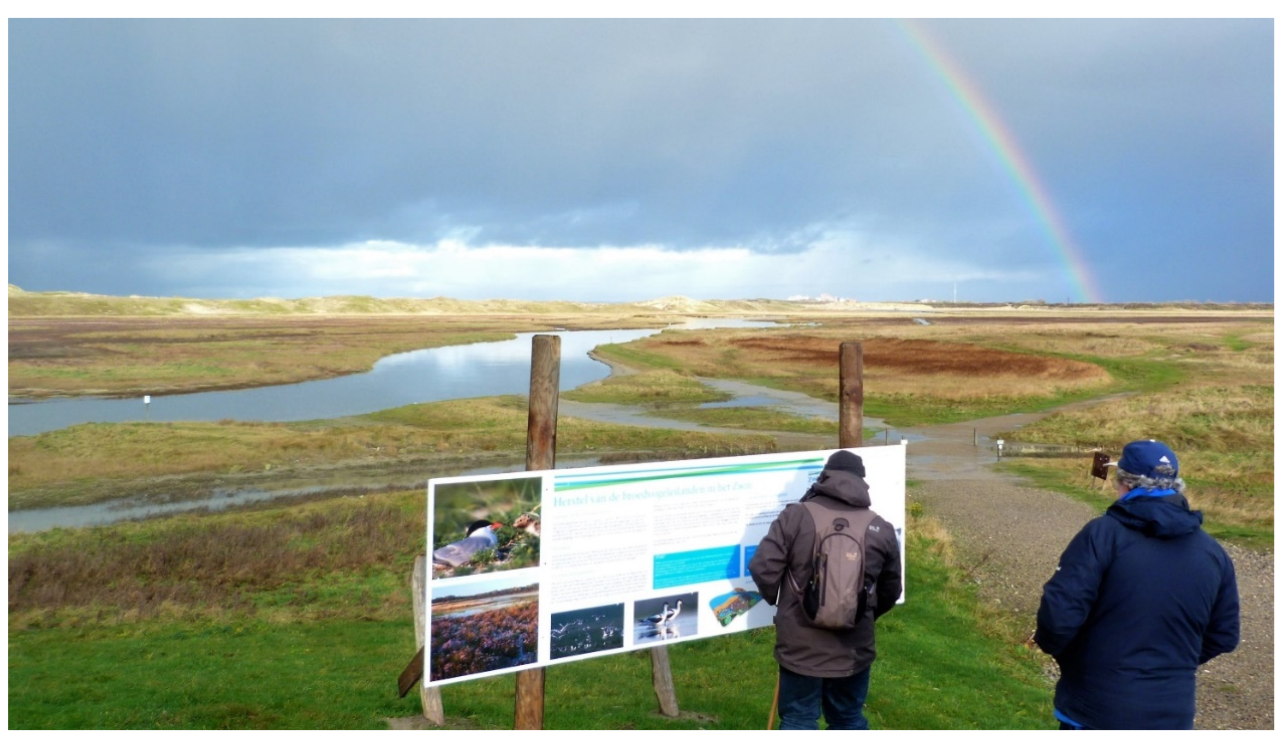 Sustainability 15 09922 g008 Sustainability 15 09922 g008