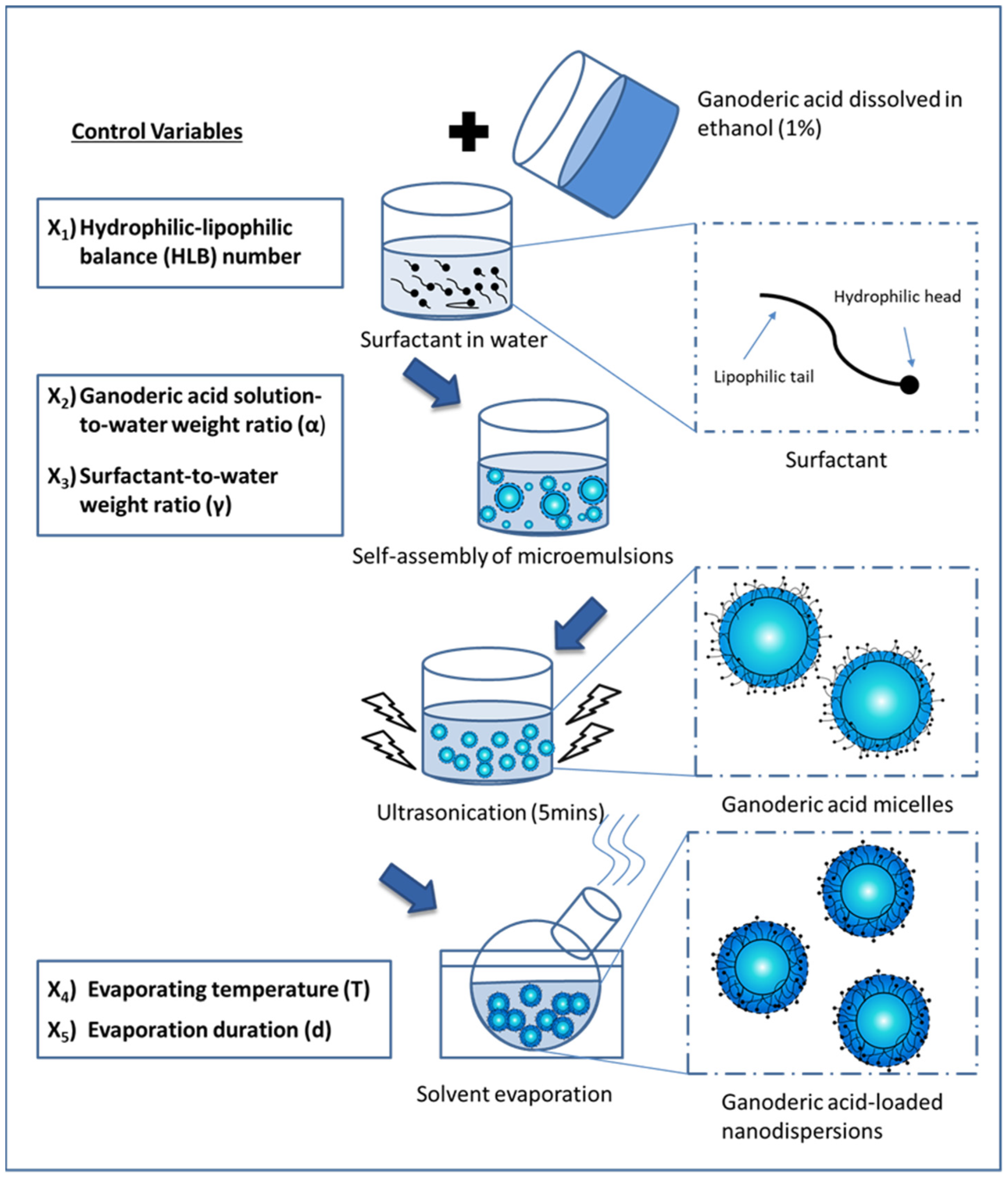 Sustainability 15 09929 g002