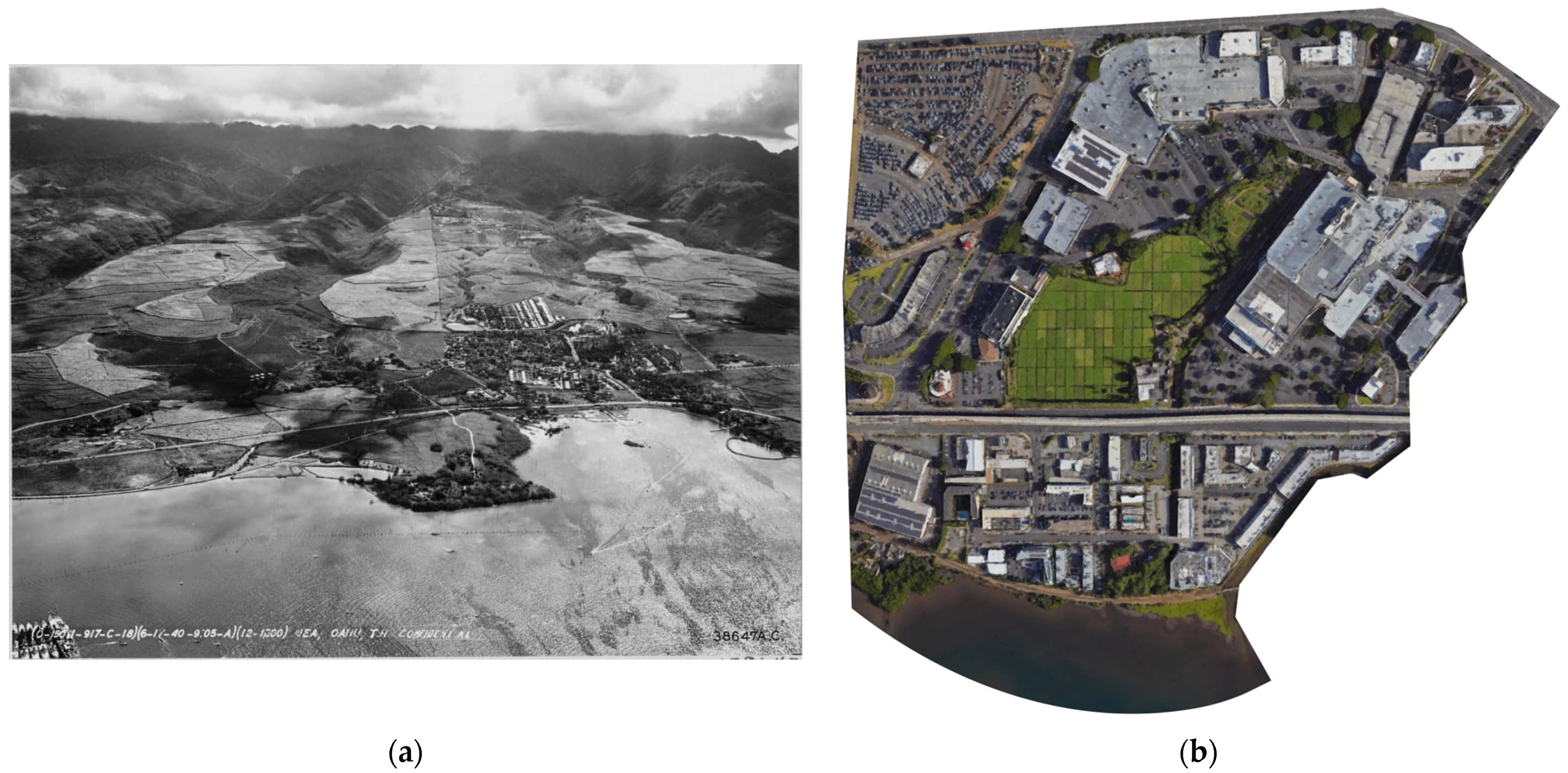 Sustainability 15 09937 g006 Sustainability 15 09937 g006