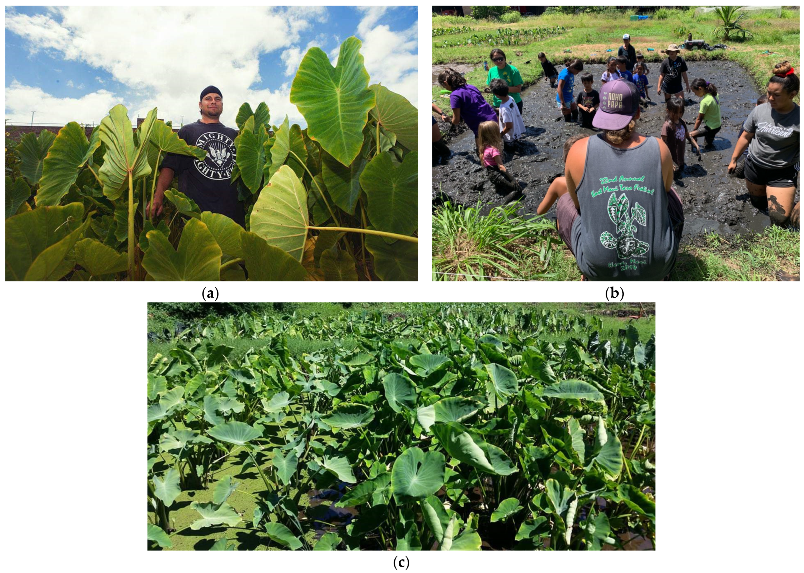 Sustainability 15 09937 g008 Sustainability 15 09937 g008