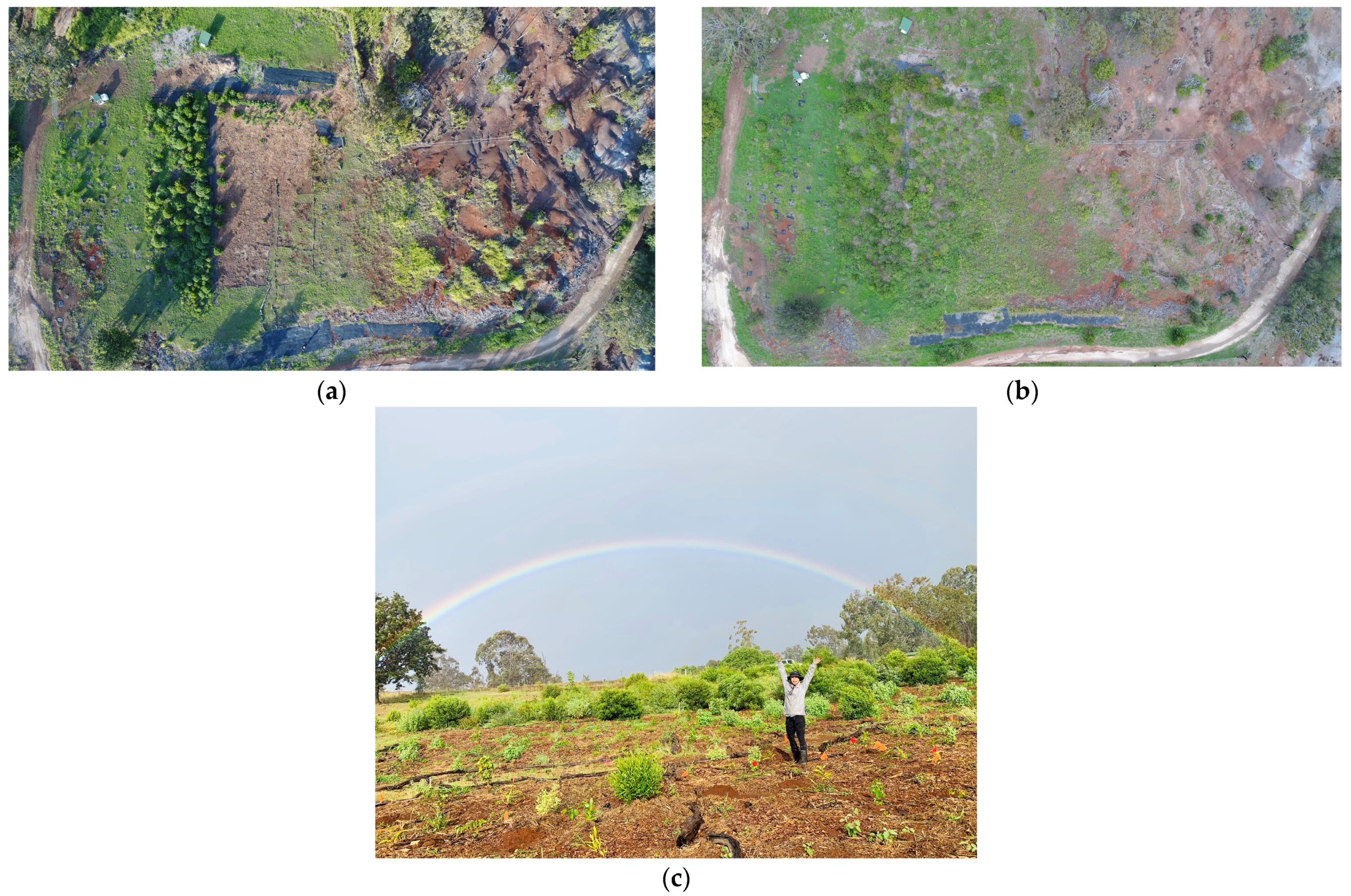 Sustainability 15 09937 g009a Sustainability 15 09937 g009a