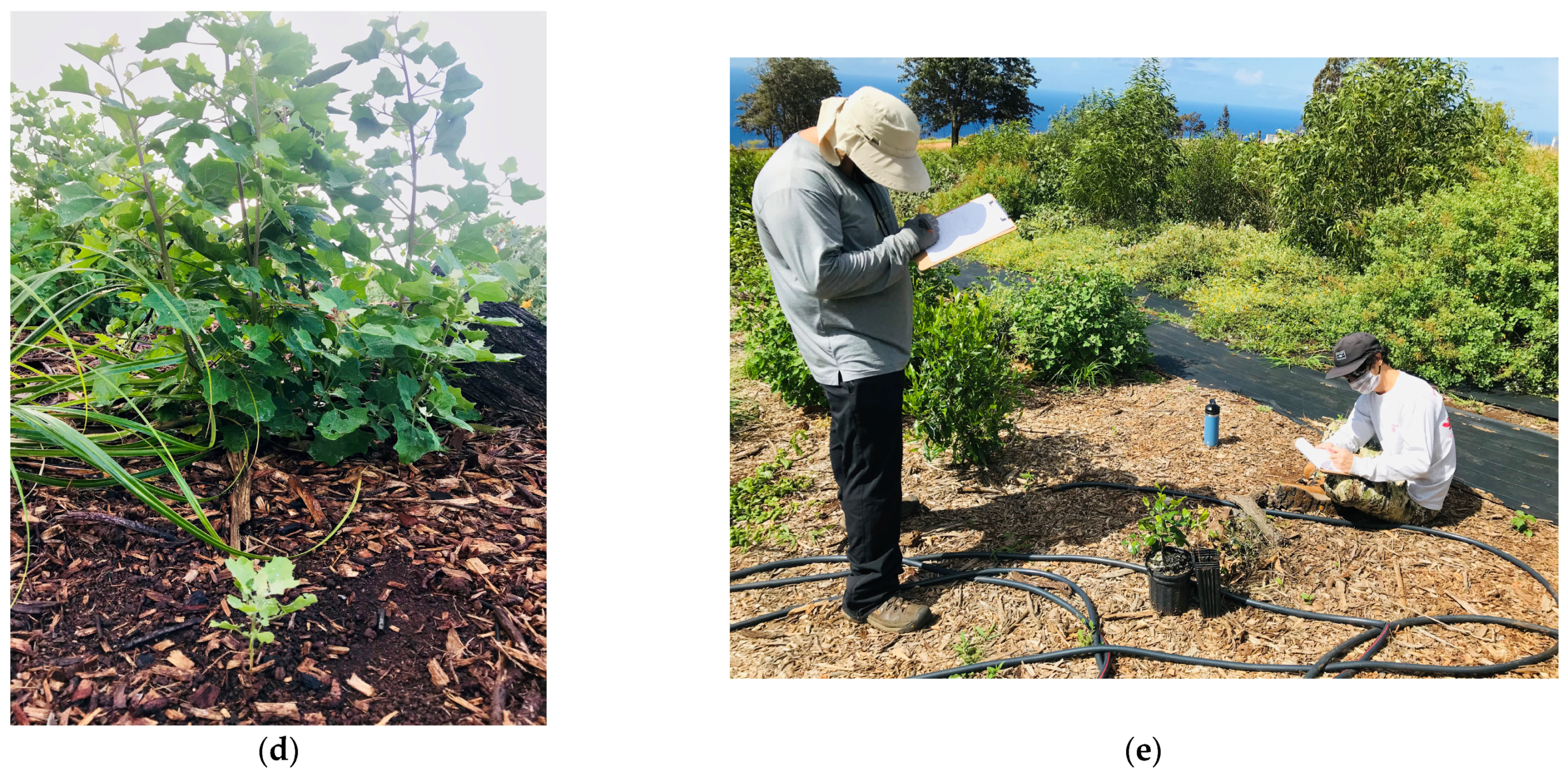 Sustainability 15 09937 g009b Sustainability 15 09937 g009b