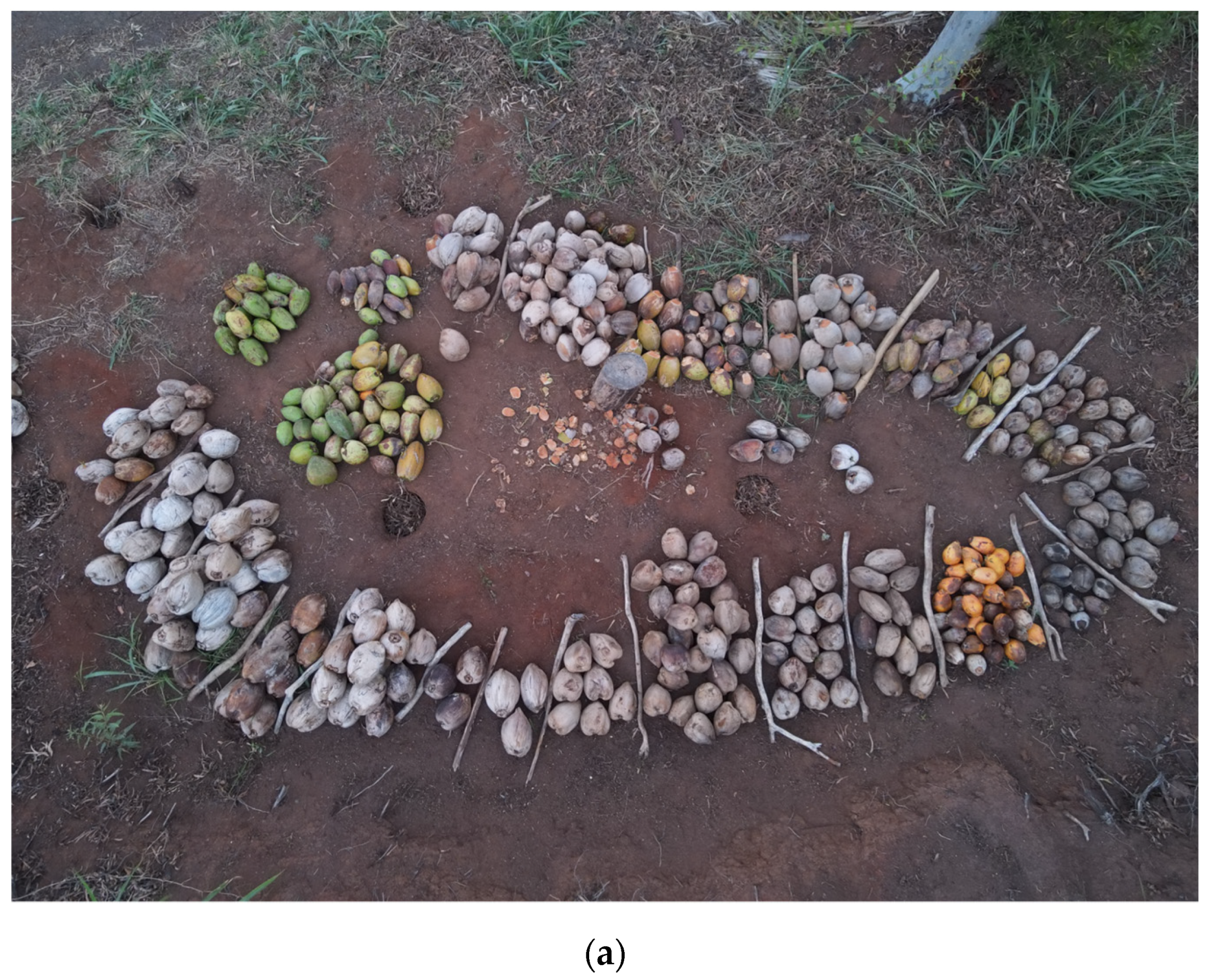 Sustainability 15 09937 g011a Sustainability 15 09937 g011a