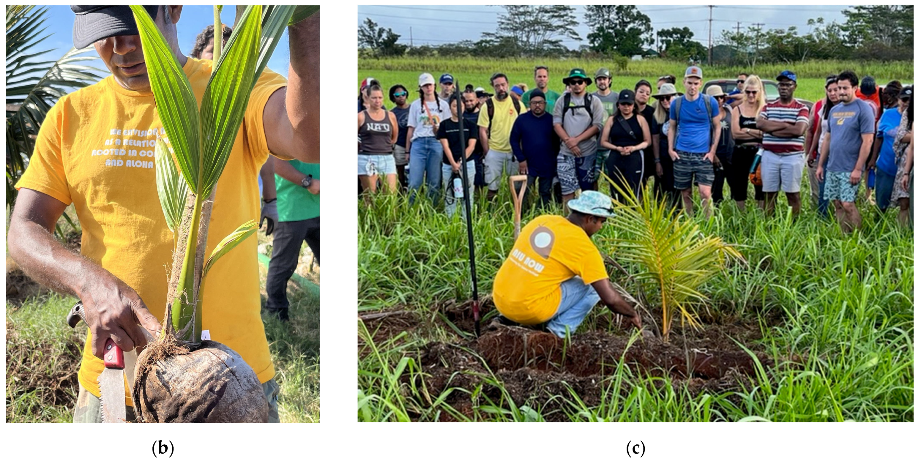 Sustainability 15 09937 g011b Sustainability 15 09937 g011b