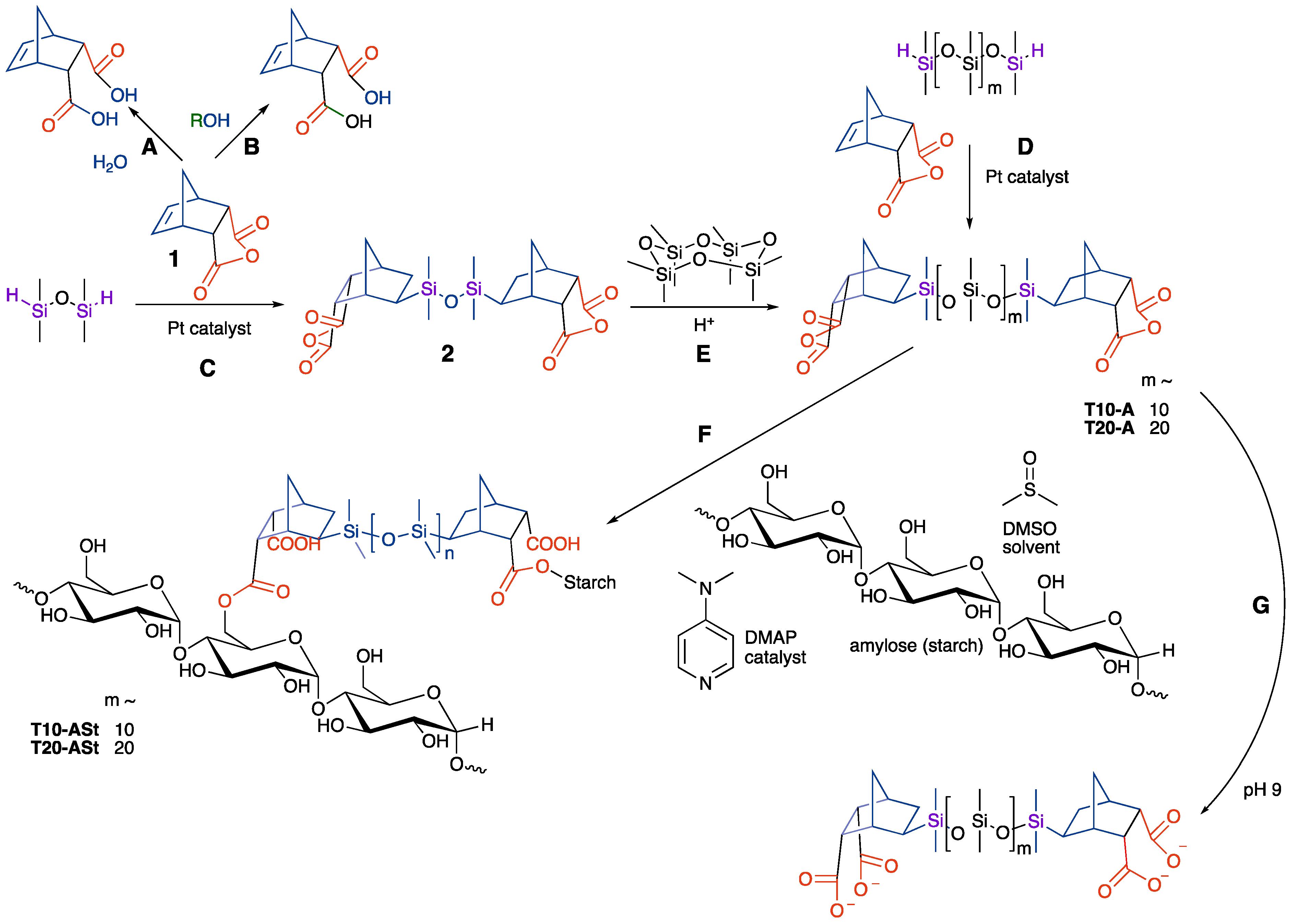 Sustainability 15 09941 g001 550