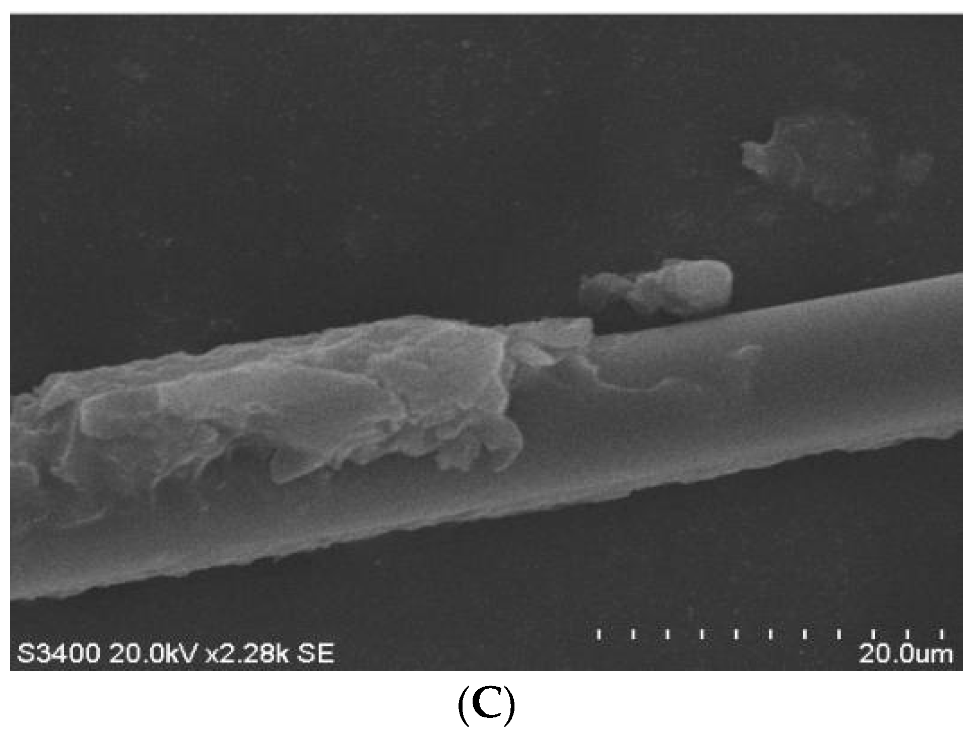 Sustainability 15 09996 g002b Sustainability 15 09996 g002b