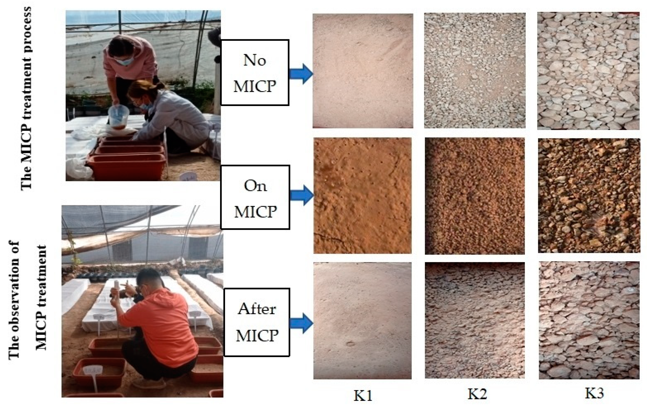 Sustainability 15 10077 g003 Sustainability 15 10077 g003