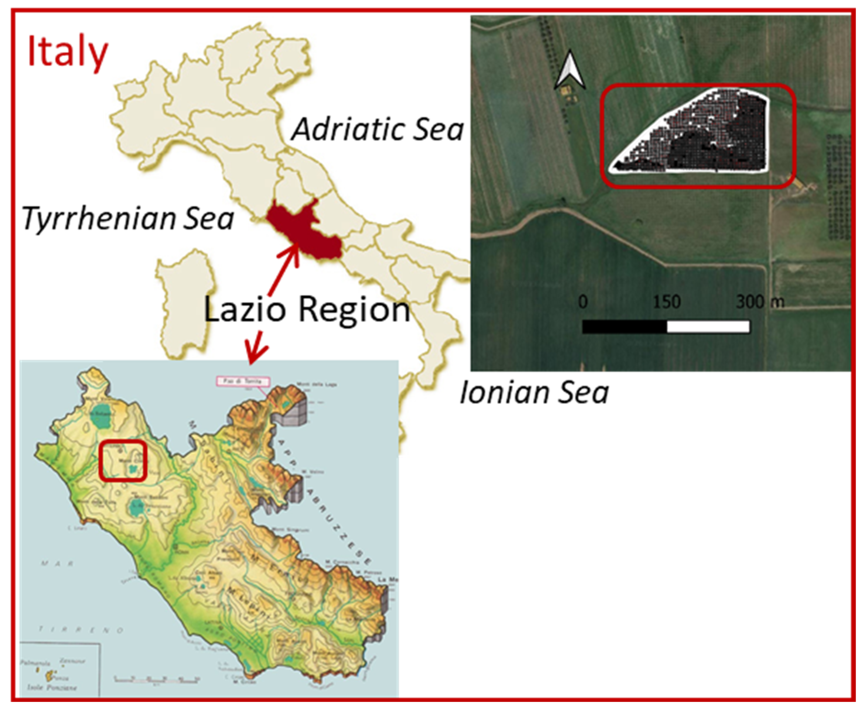 Sustainability 15 10106 g001