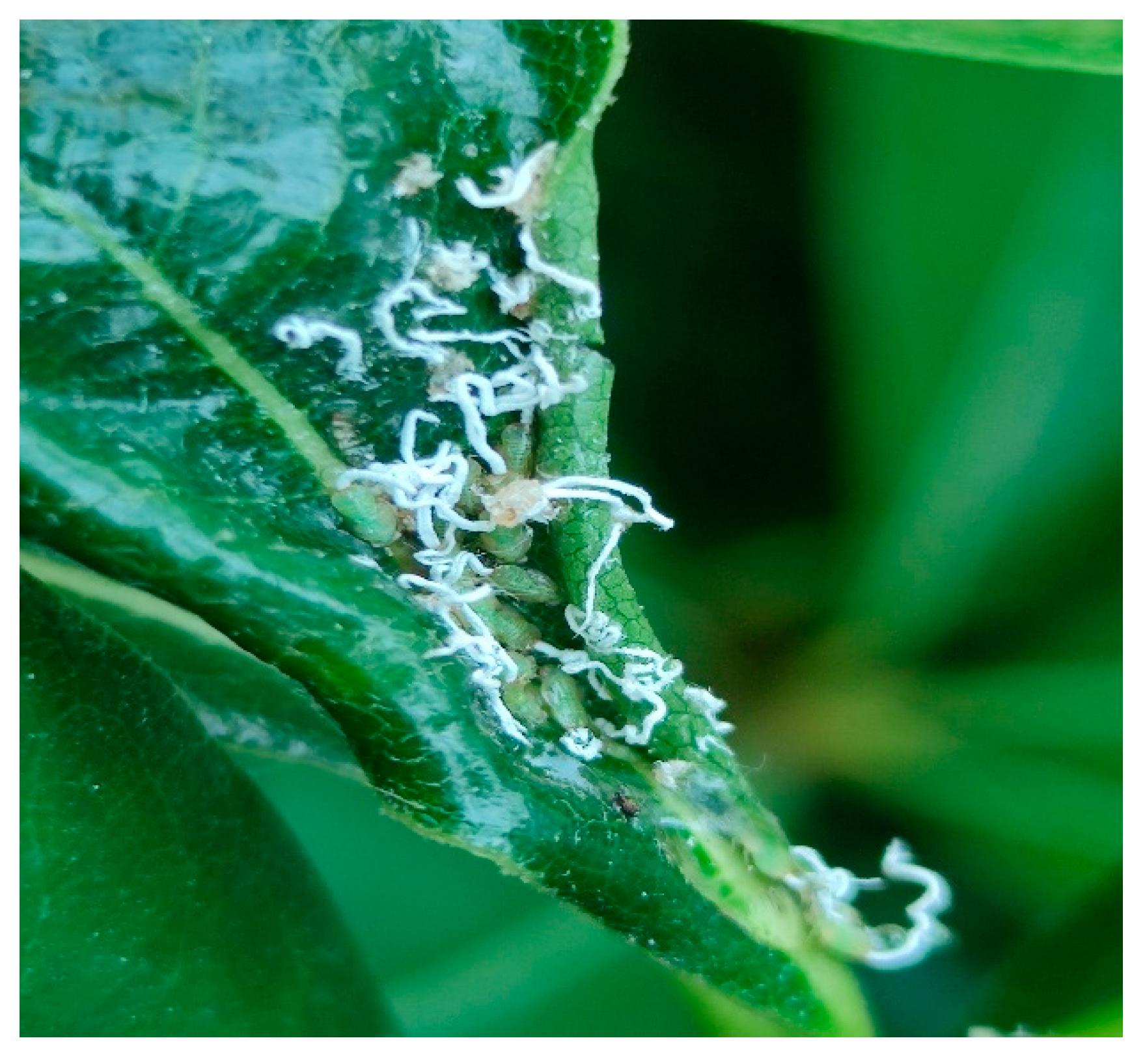 Sustainability 15 10113 g001 Sustainability 15 10113 g001