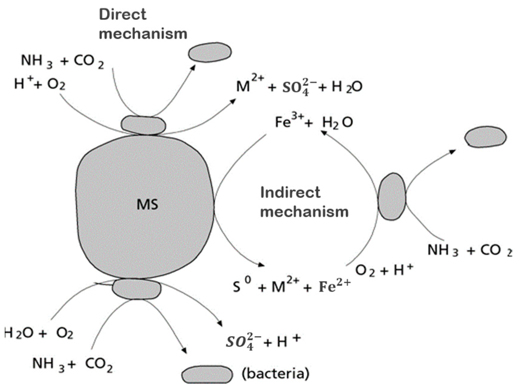 Sustainability 15 10222 g005