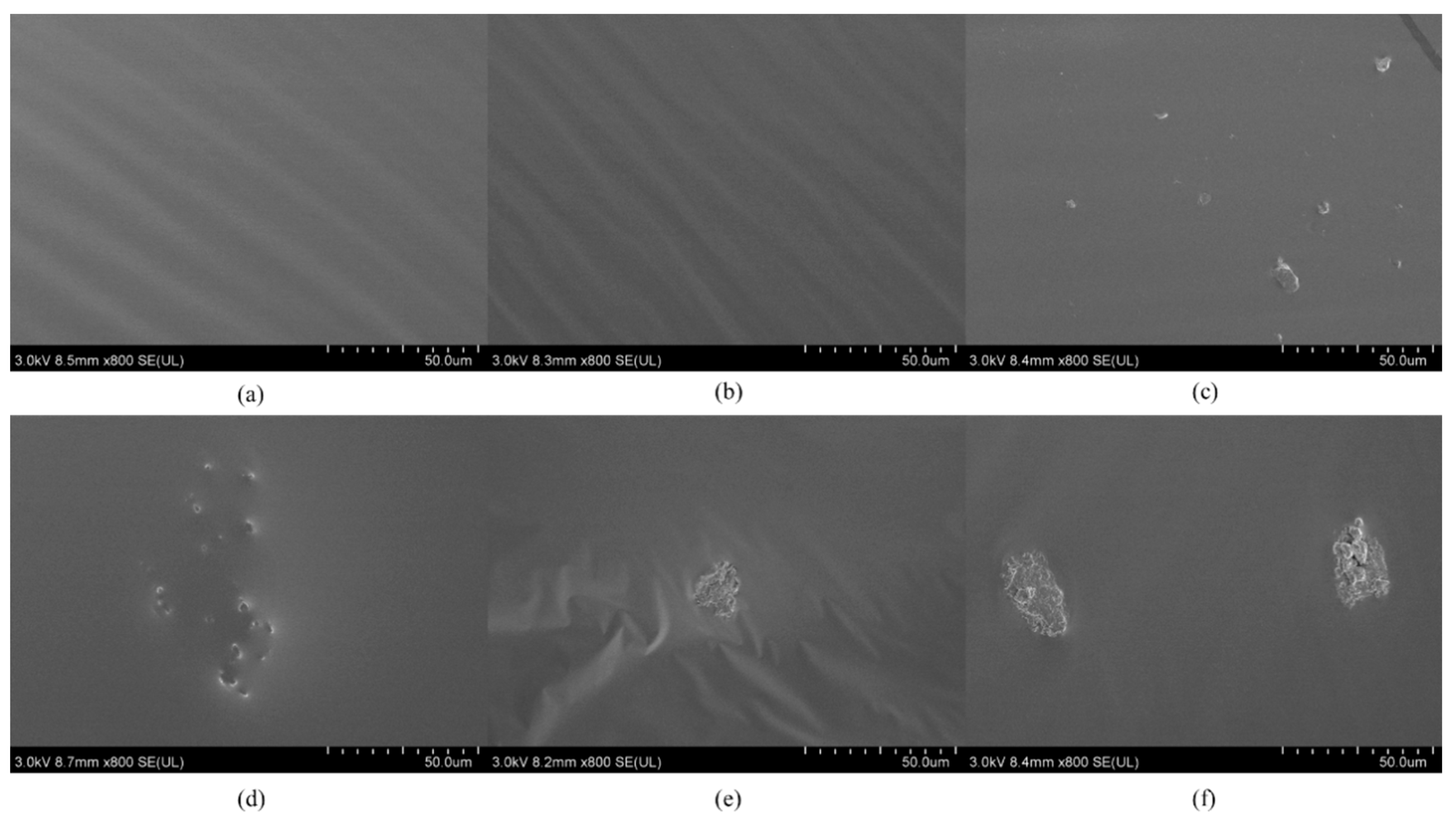 Sustainability 15 10224 g004 Sustainability 15 10224 g004