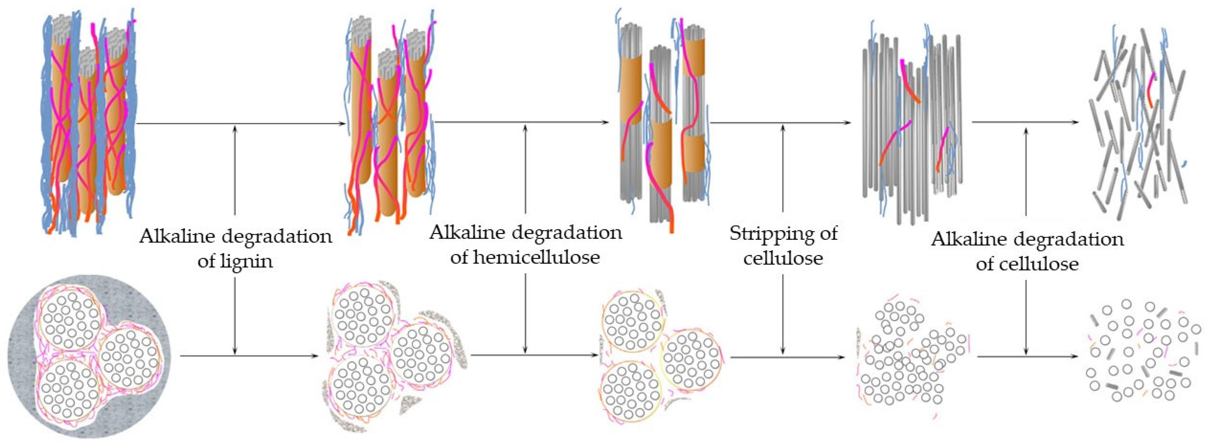 Sustainability 15 10235 g005