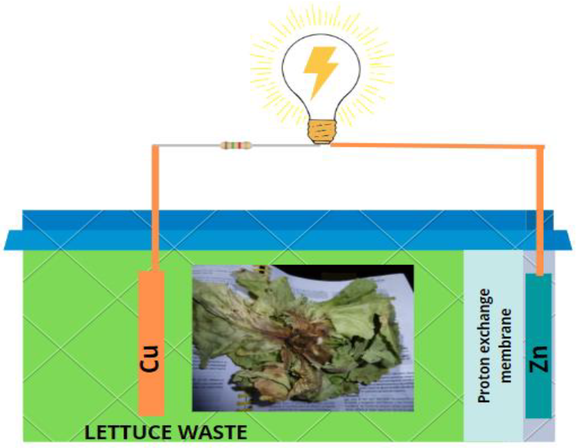 Sustainability, Free Full-Text