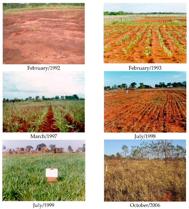 Sustainability 15 10344 g002a