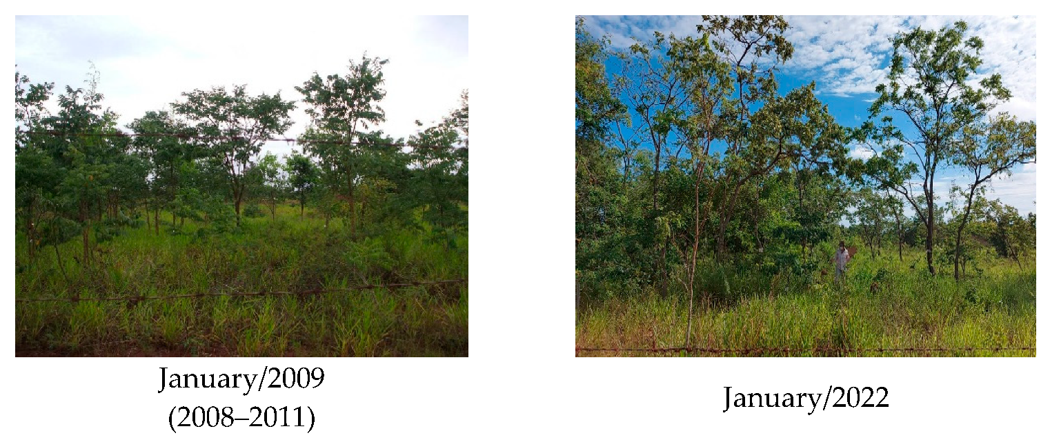 Sustainability 15 10344 g002b