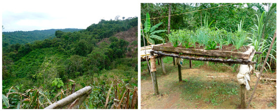 Ancestral Practices for Water and Land Management: Experiences in a ...