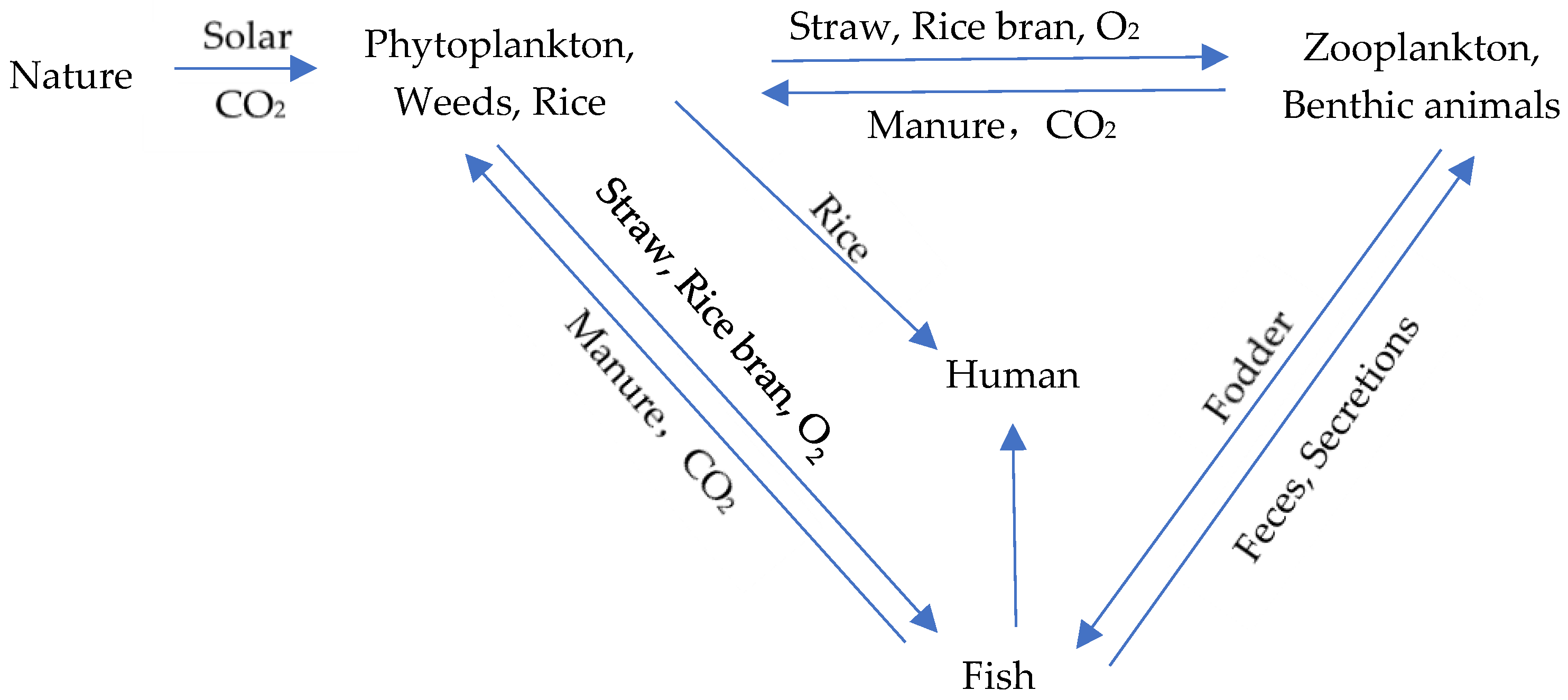 Sustainability 15 10407 g002