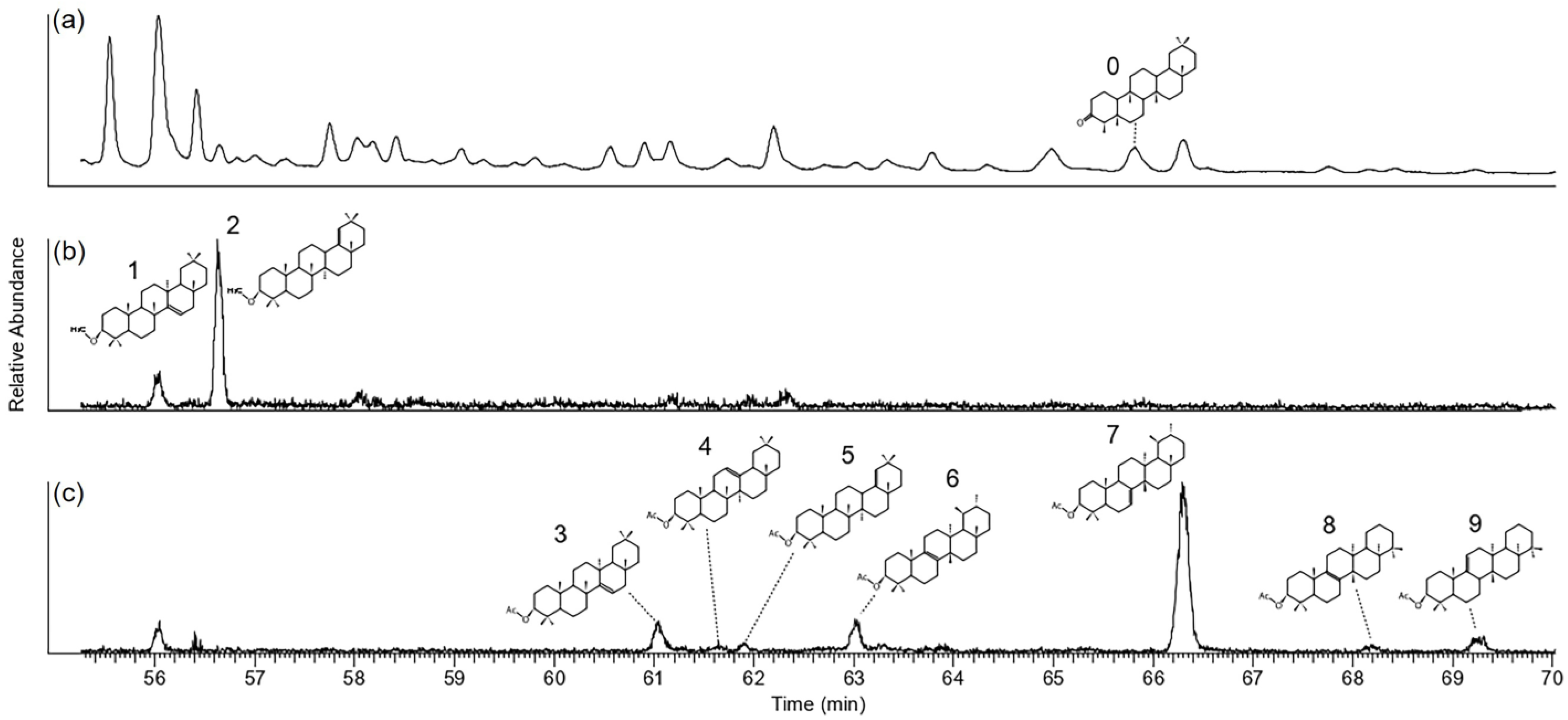 Sustainability 15 10408 g004 Sustainability 15 10408 g004