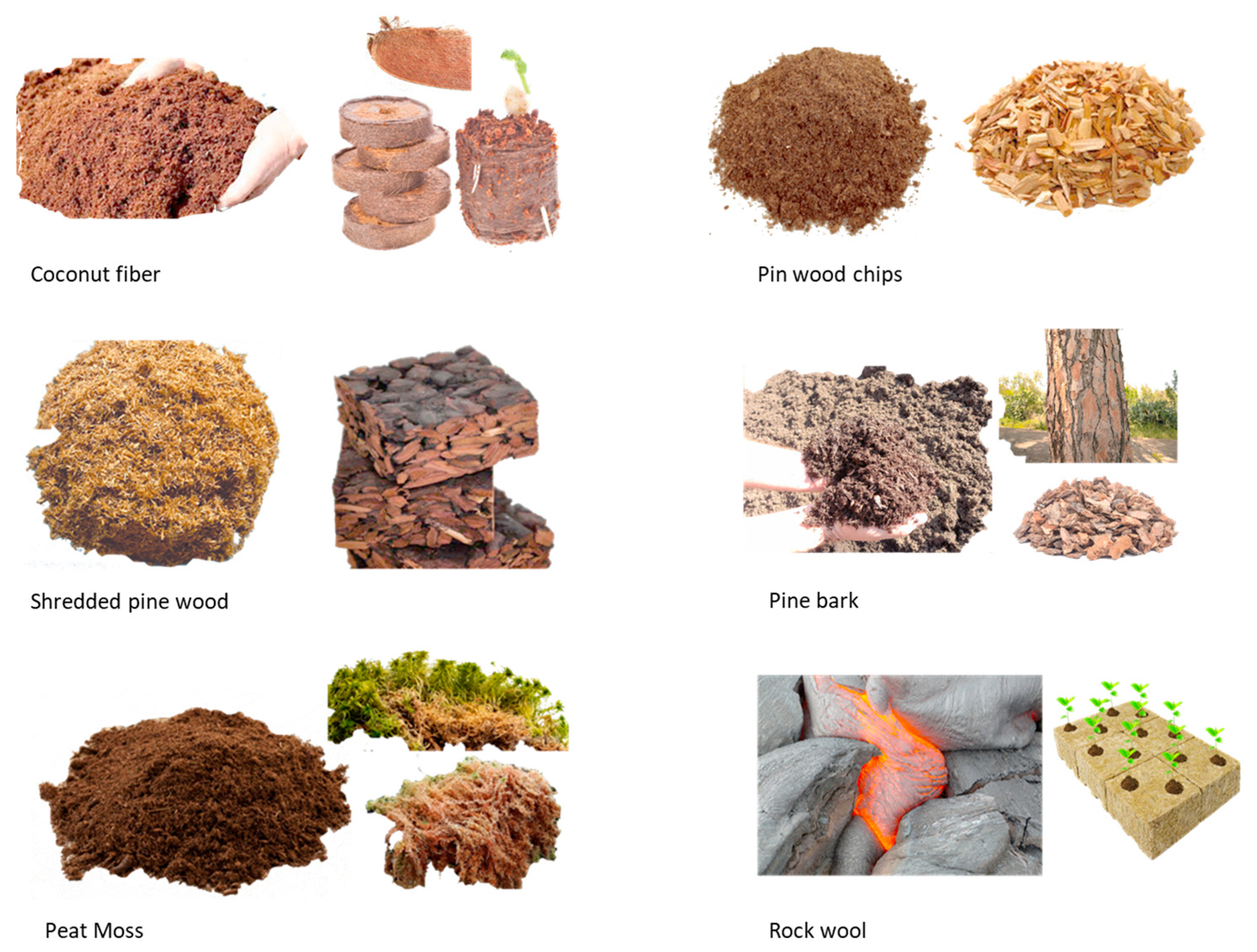 Sustainability 15 10418 g004 Sustainability 15 10418 g004