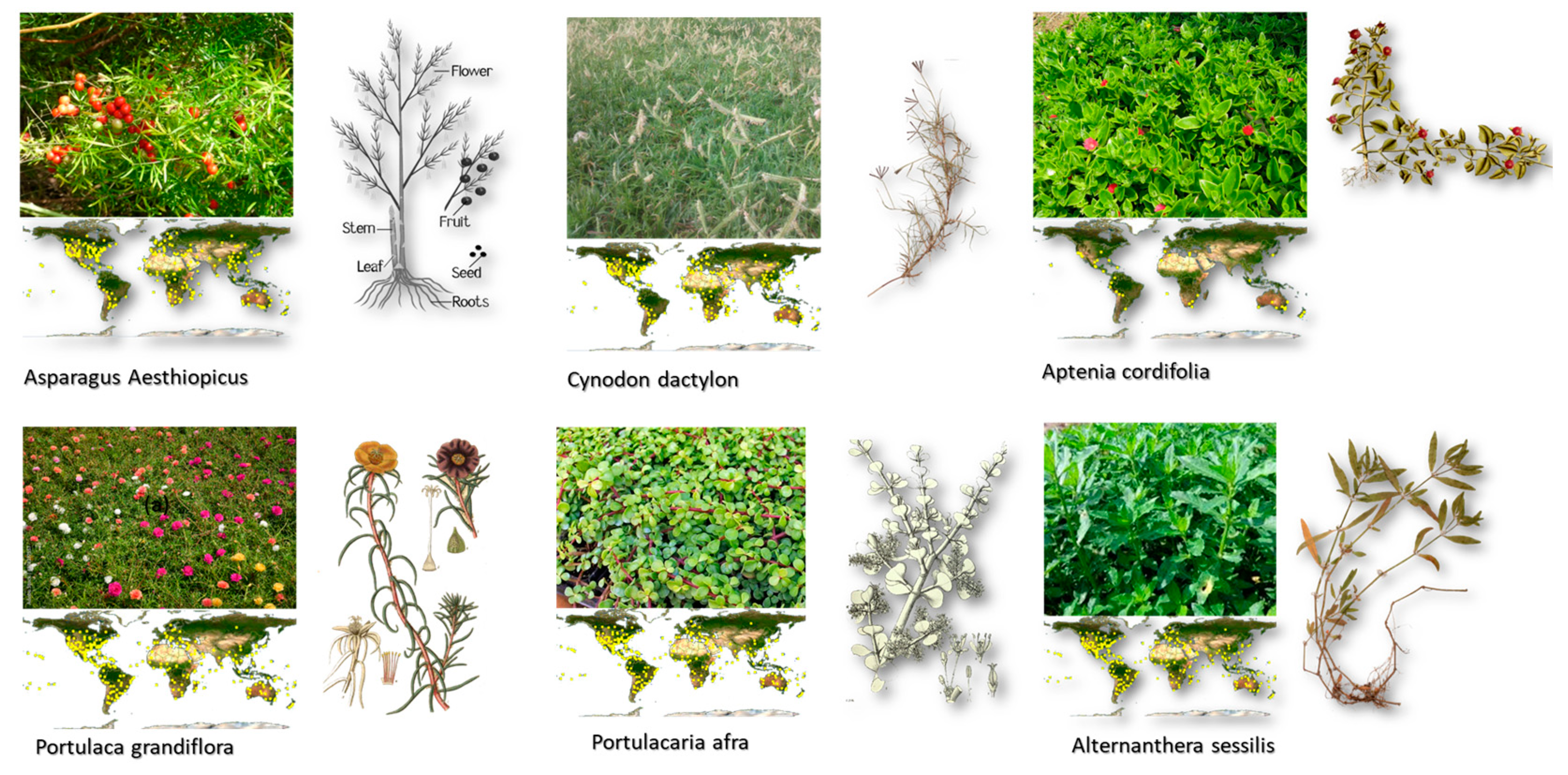 Sustainability 15 10418 g007 Sustainability 15 10418 g007