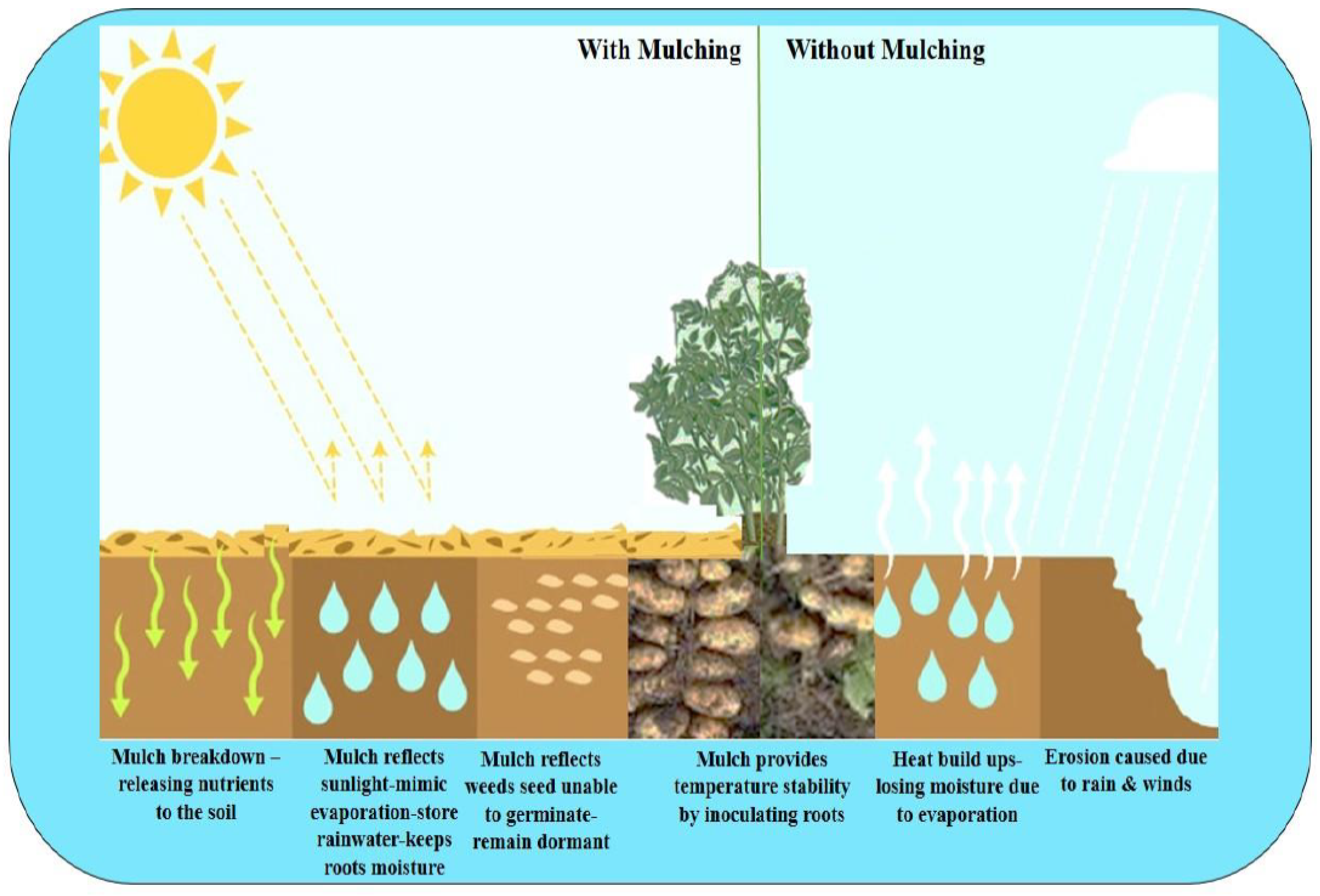 Rain erosion diagram