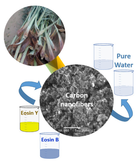 Sustainable and Green Synthesis of Carbon Nanofibers from Date