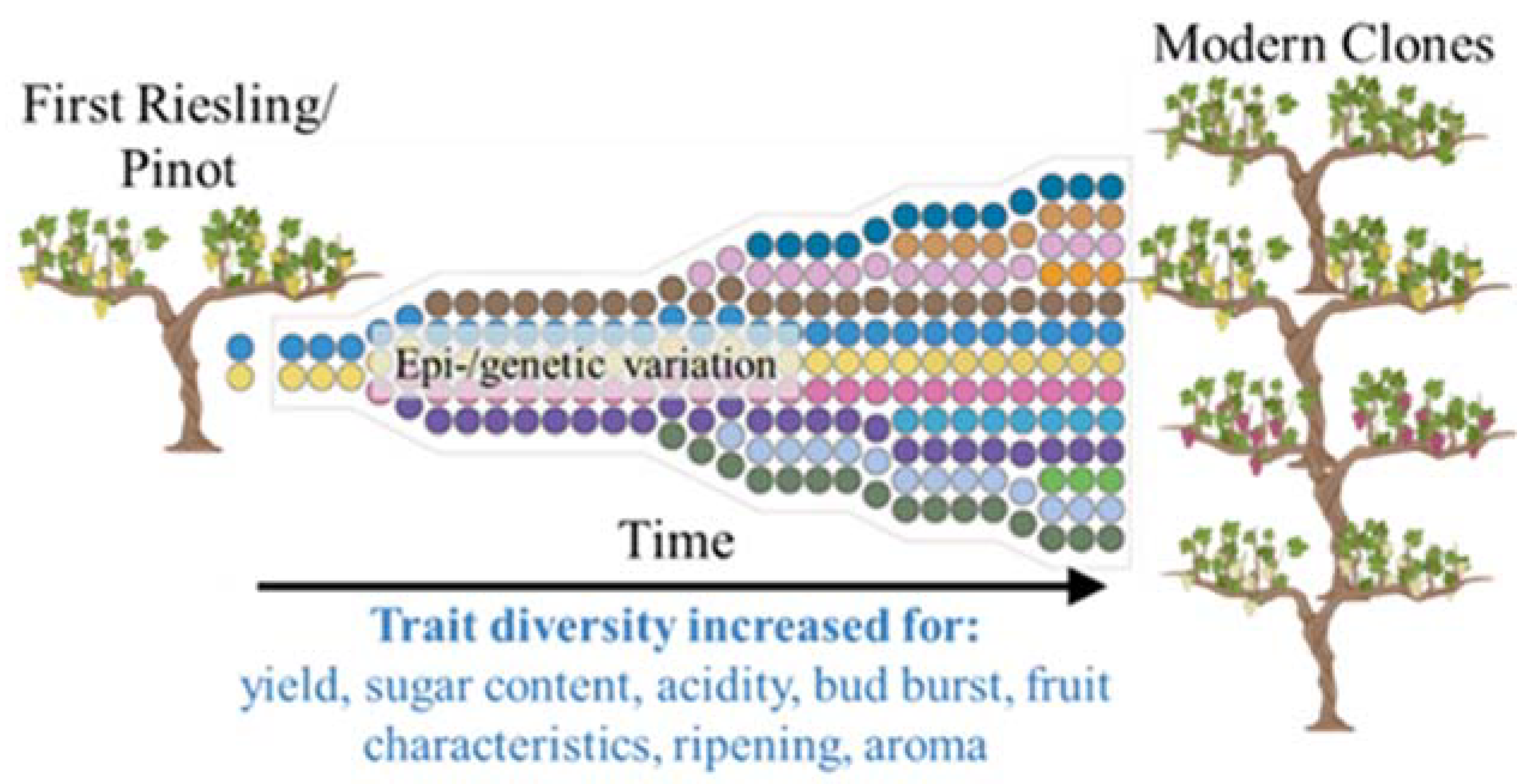 Sustainability 15 10487 g001 Sustainability 15 10487 g001