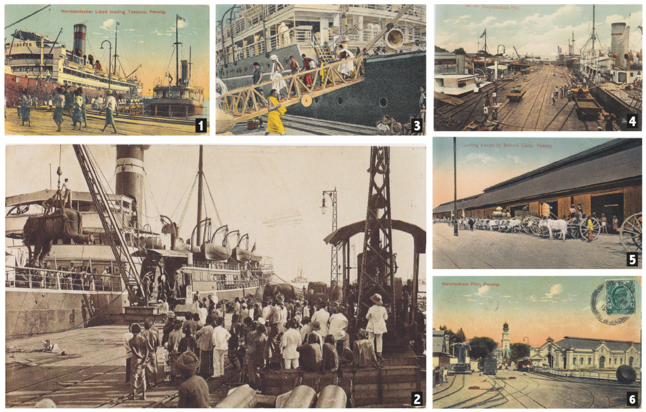 Sustainability 15 10511 g002