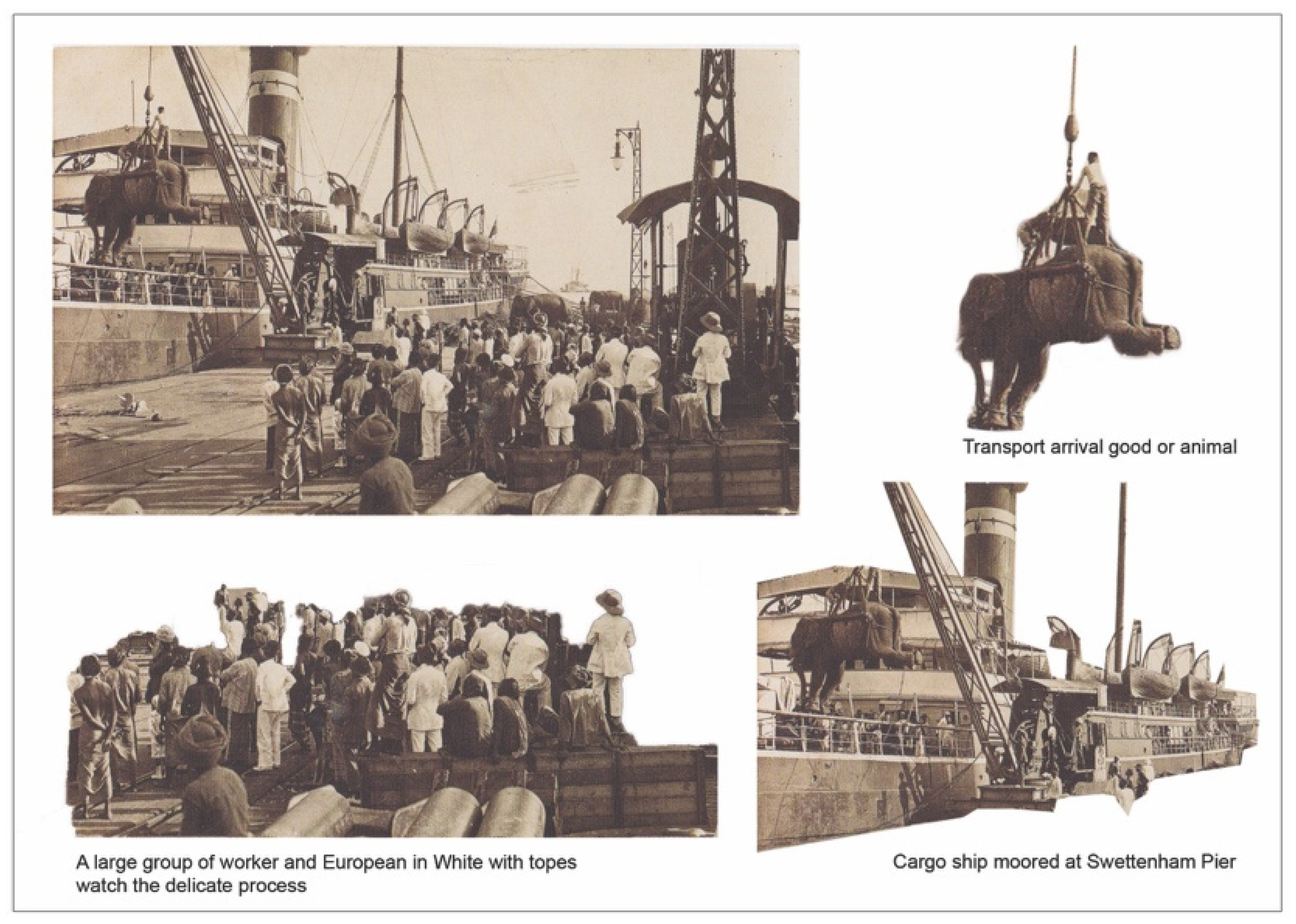 Sustainability 15 10511 g004