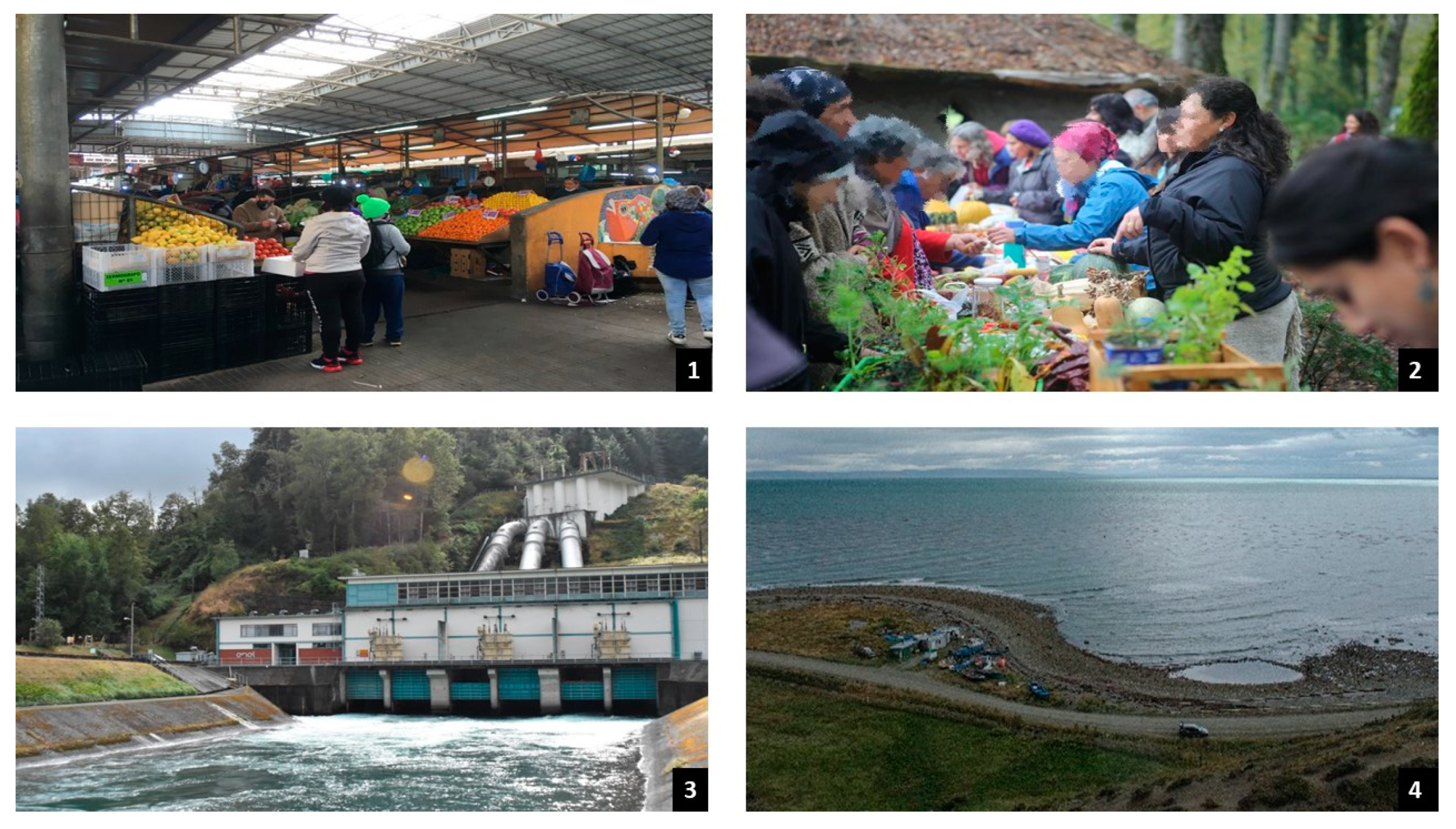 Sustainability 15 10515 g002