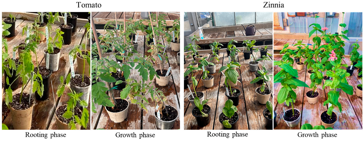 Sustainability 15 10535 g004 Sustainability 15 10535 g004