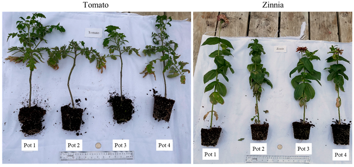Sustainability 15 10535 g005 Sustainability 15 10535 g005