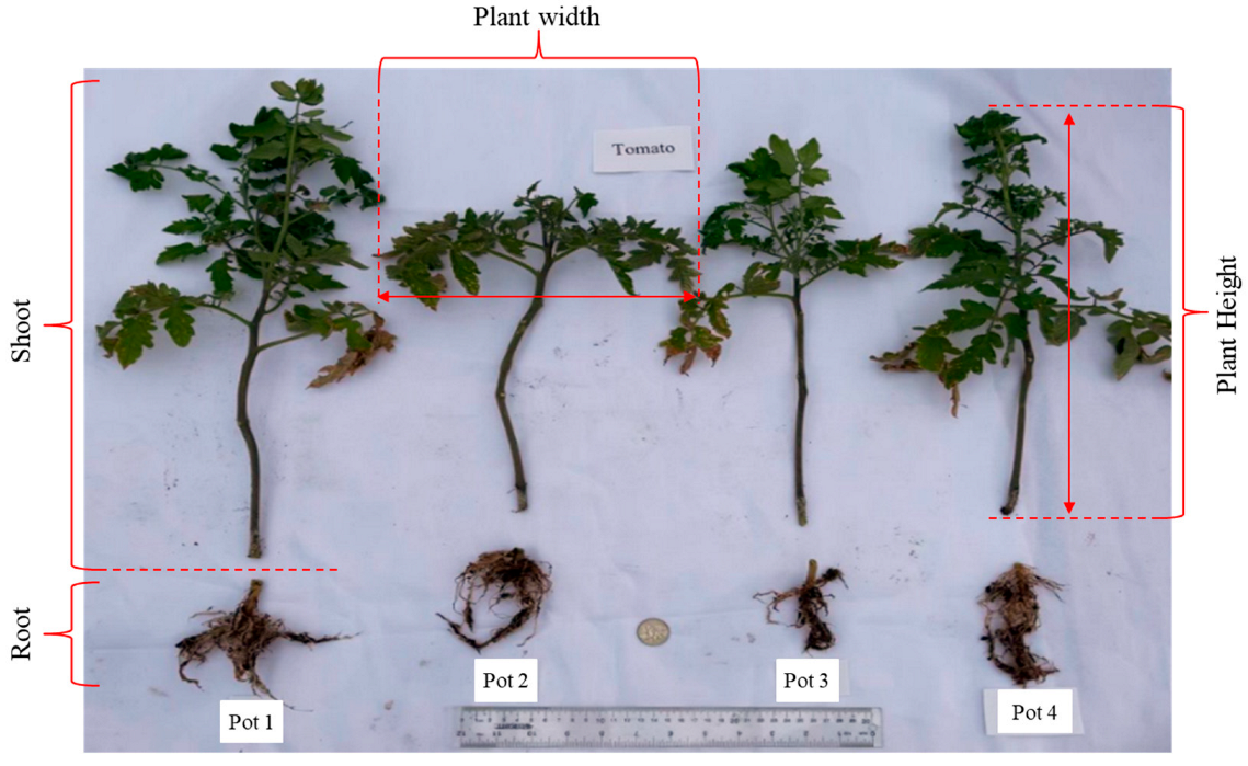 Sustainability 15 10535 g006 Sustainability 15 10535 g006