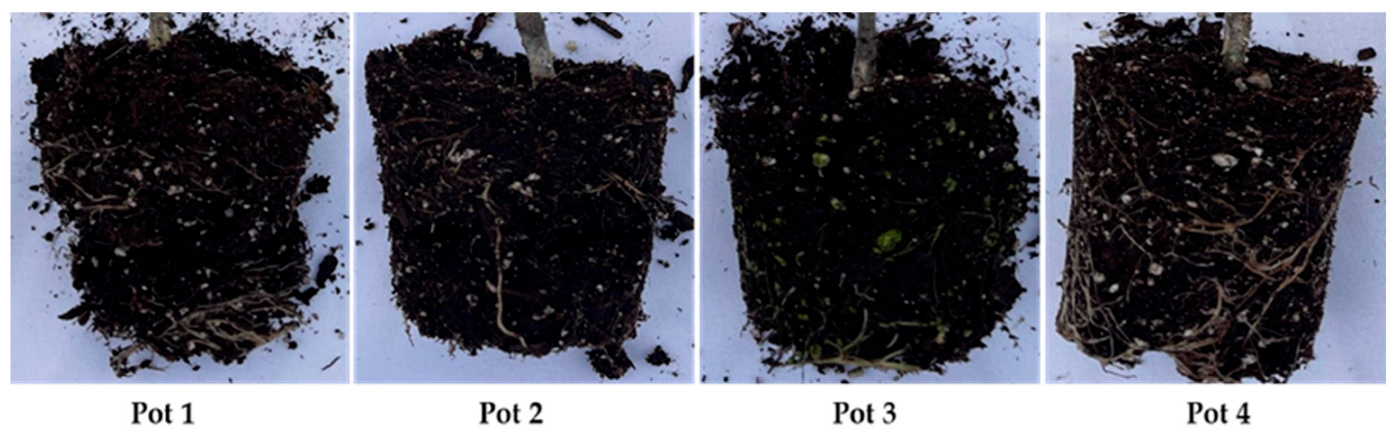 Sustainability 15 10535 g007 Sustainability 15 10535 g007
