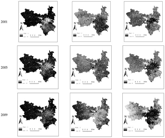 Extraction and Spatiotemporal Evolution Analysis of