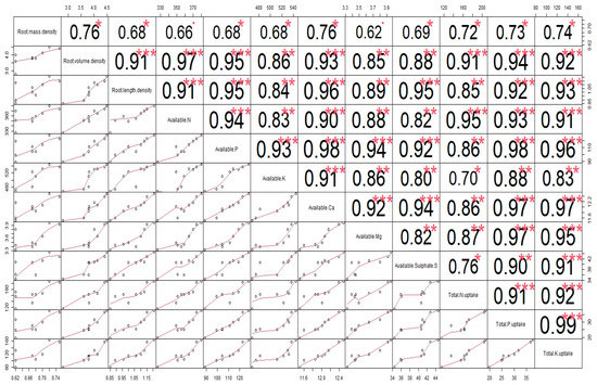 Nutrient Management Influences Root Characteristics and