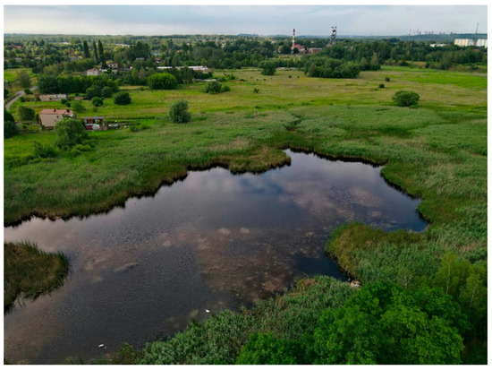 File:Clinches Pond Reserve 21.jpg - Wikimedia Commons