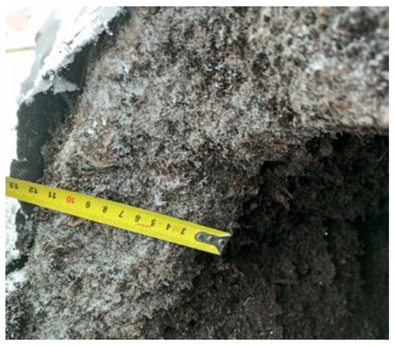 Sustainability 15 10768 g004