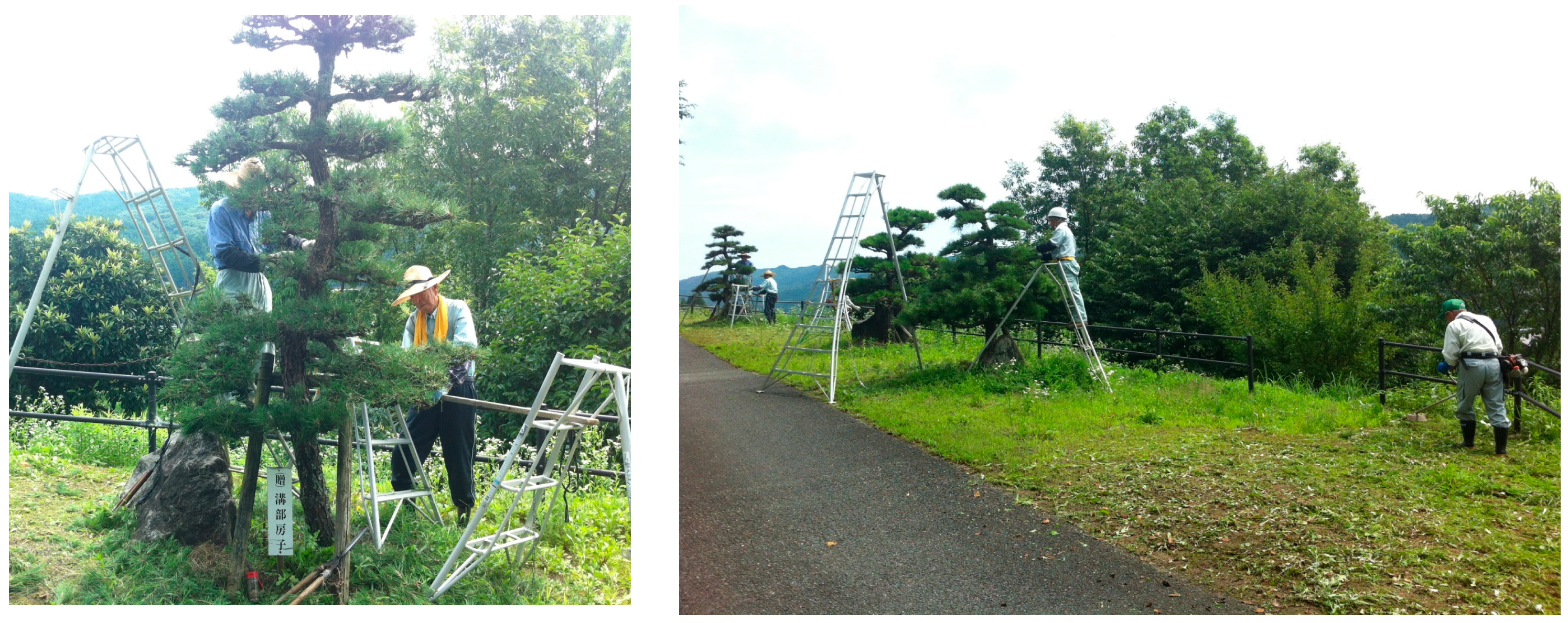 Sustainability 15 10781 g009