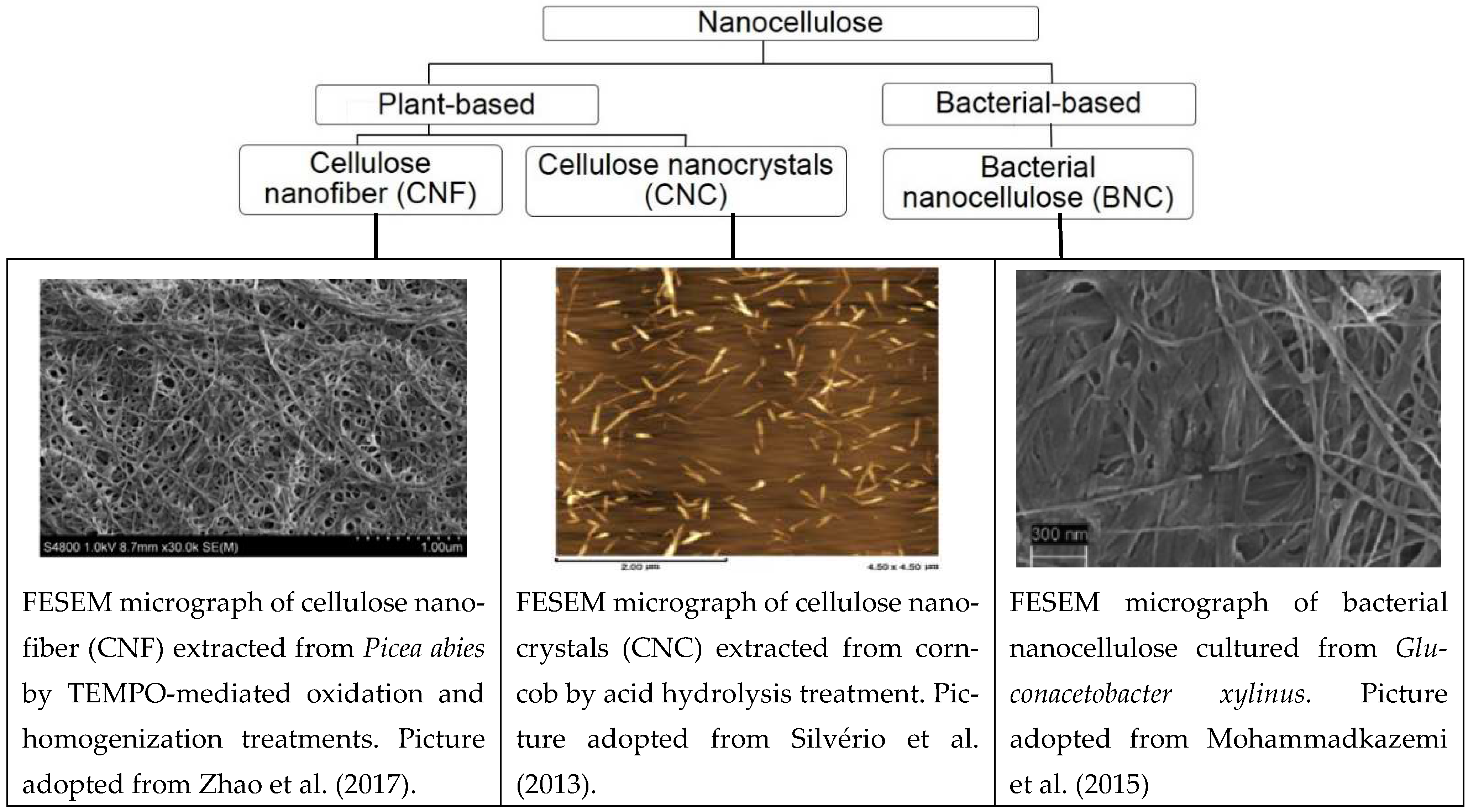Sustainability 15 10814 g007