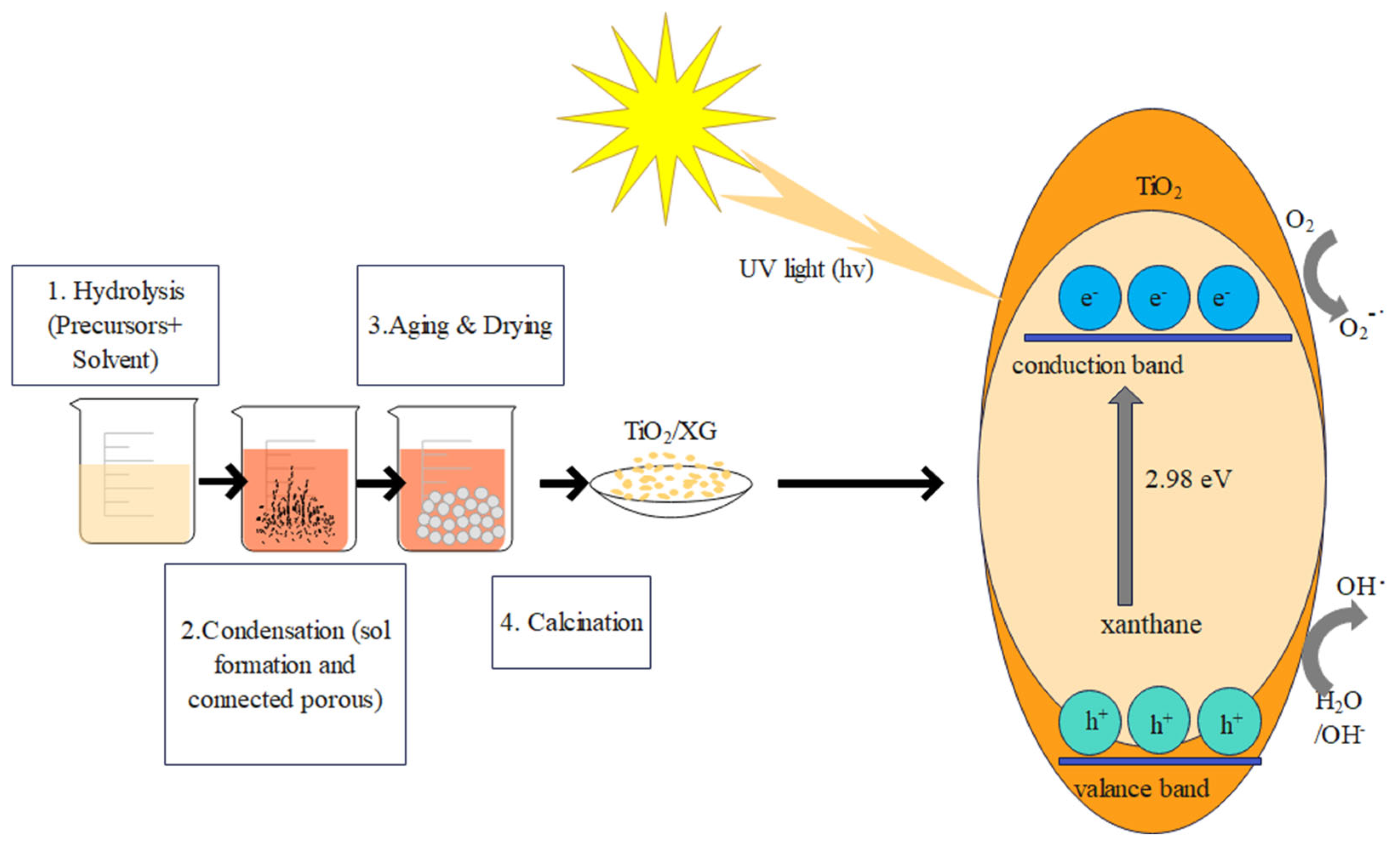 Sustainability 15 10815 g002 Sustainability 15 10815 g002